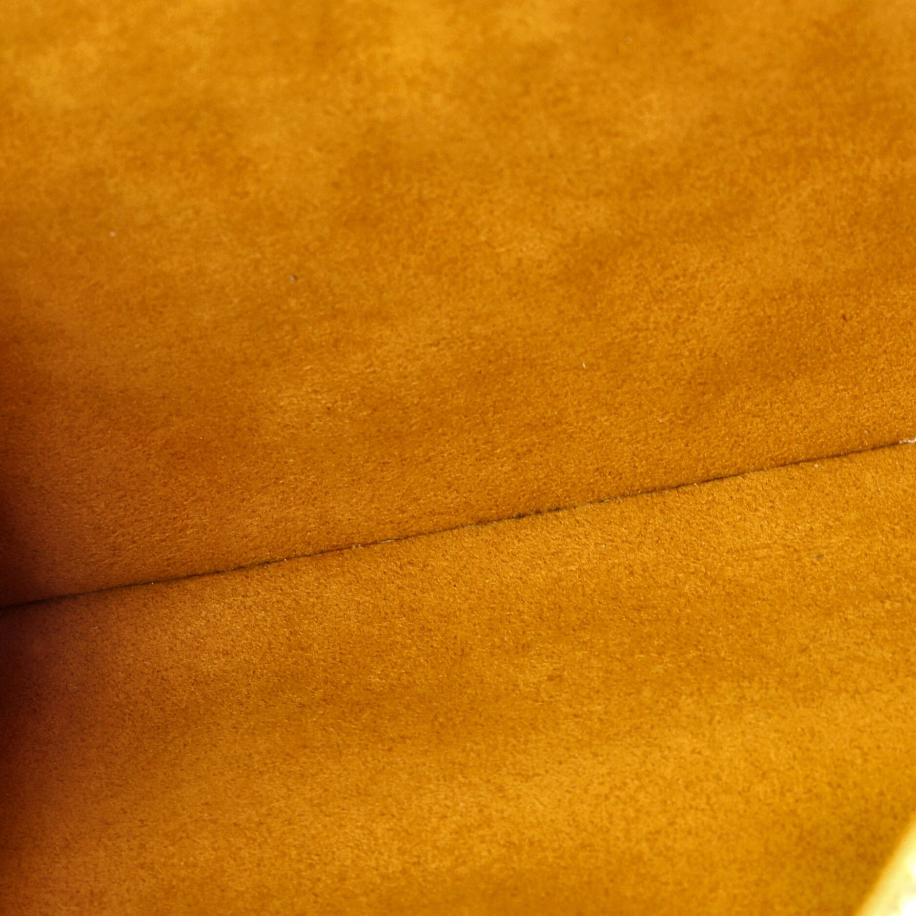 Louis Vuitton Coussin Bag Size ONE SIZE - 5 Thumbnail