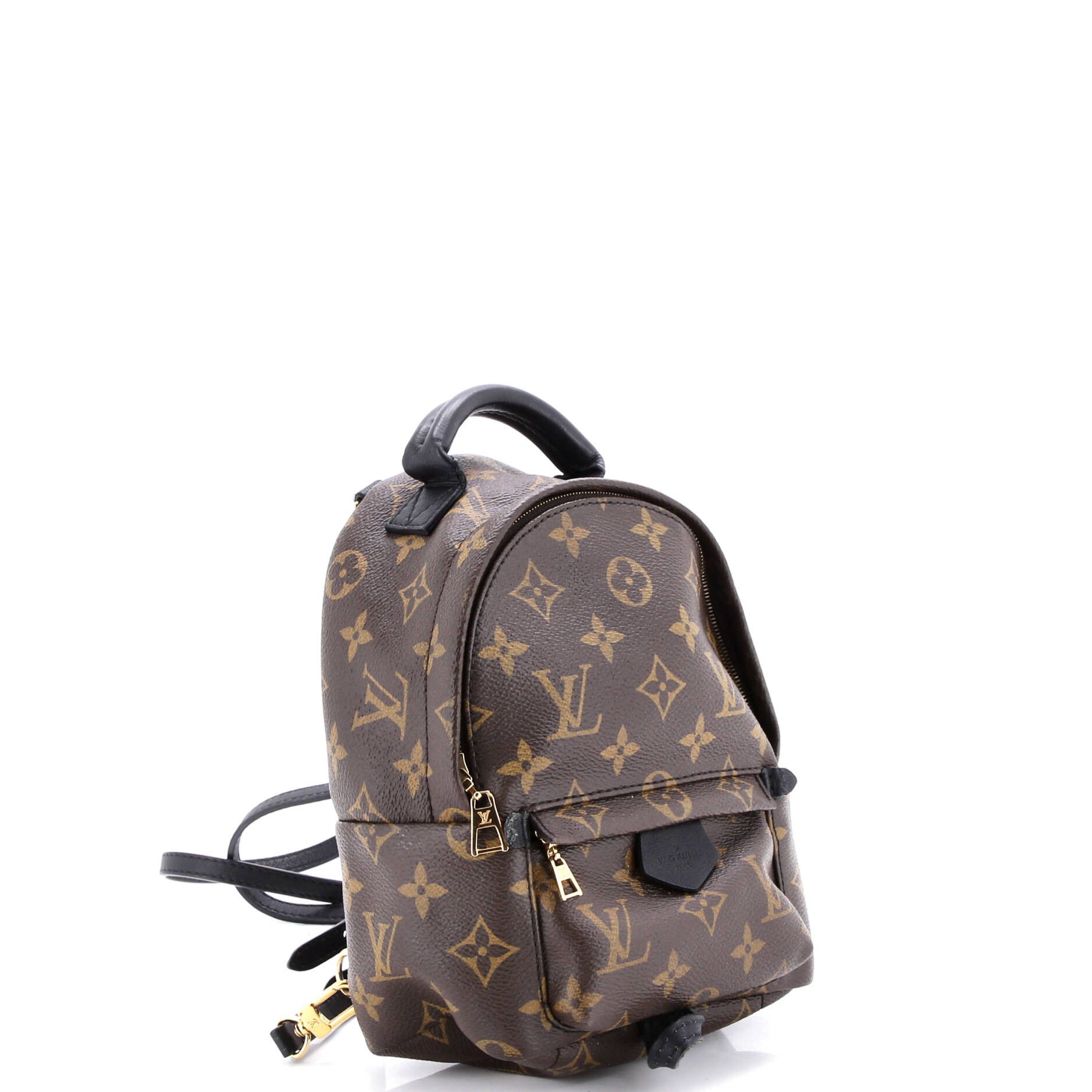 Louis Vuitton Palm Springs Backpack Size ONE SIZE - 2 Thumbnail