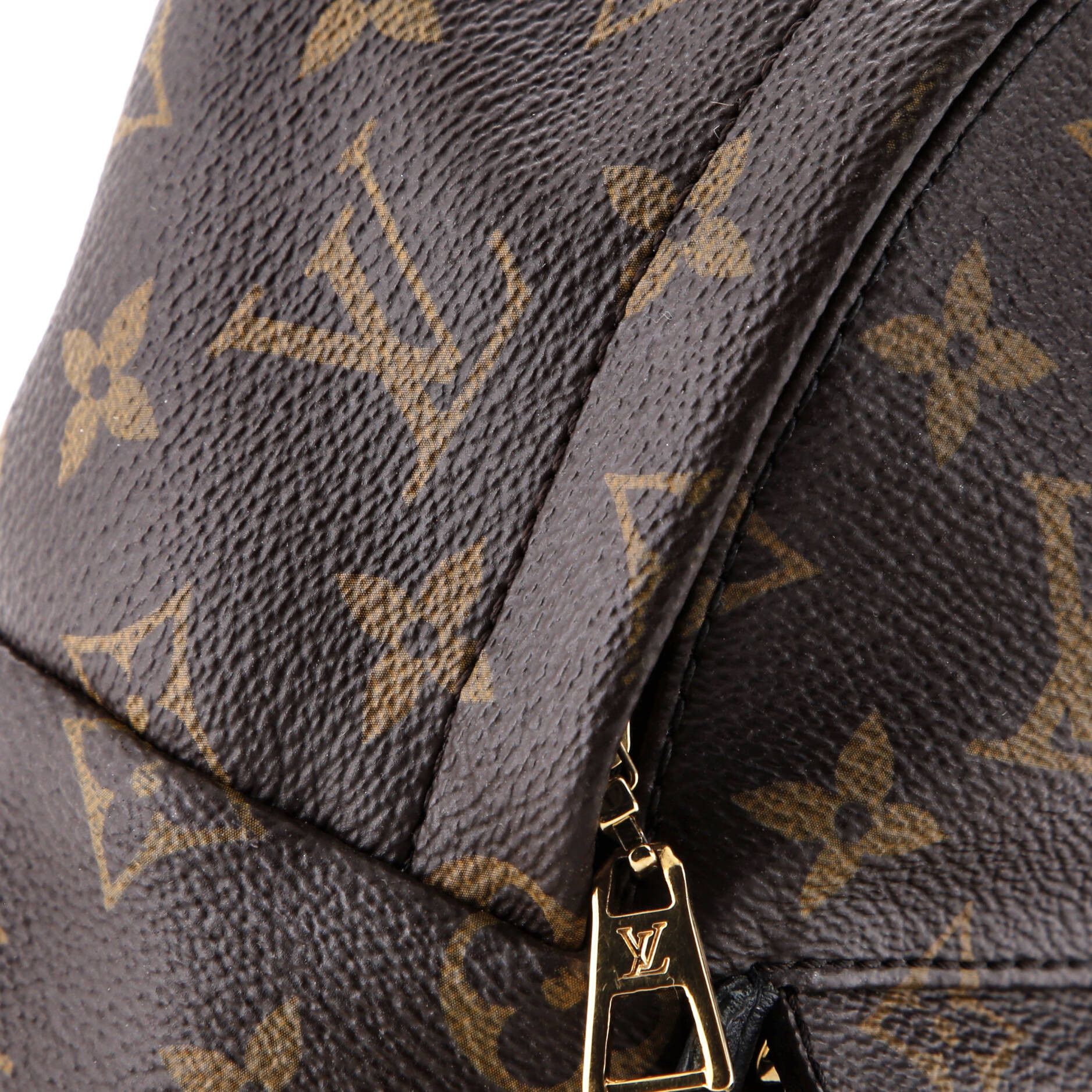 Louis Vuitton Palm Springs Backpack Size ONE SIZE - 6 Thumbnail