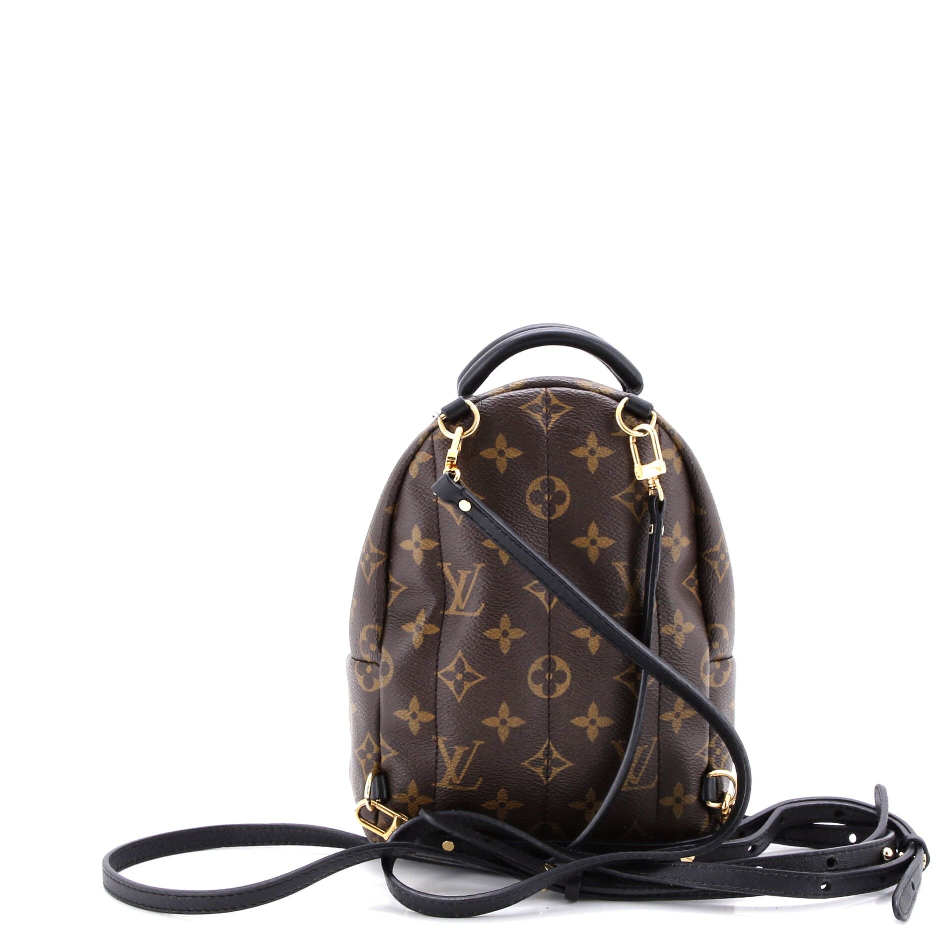 Louis Vuitton Palm Springs Backpack Size ONE SIZE - 3 Thumbnail