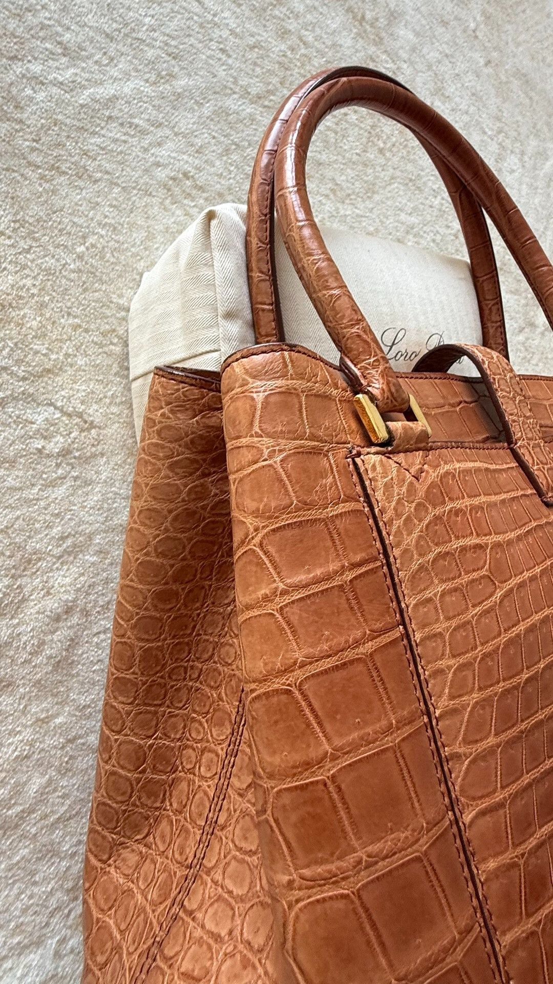 Loro Piana Loro Piana Bellevue Crocodile Handbag Size ONE SIZE - 3 Thumbnail