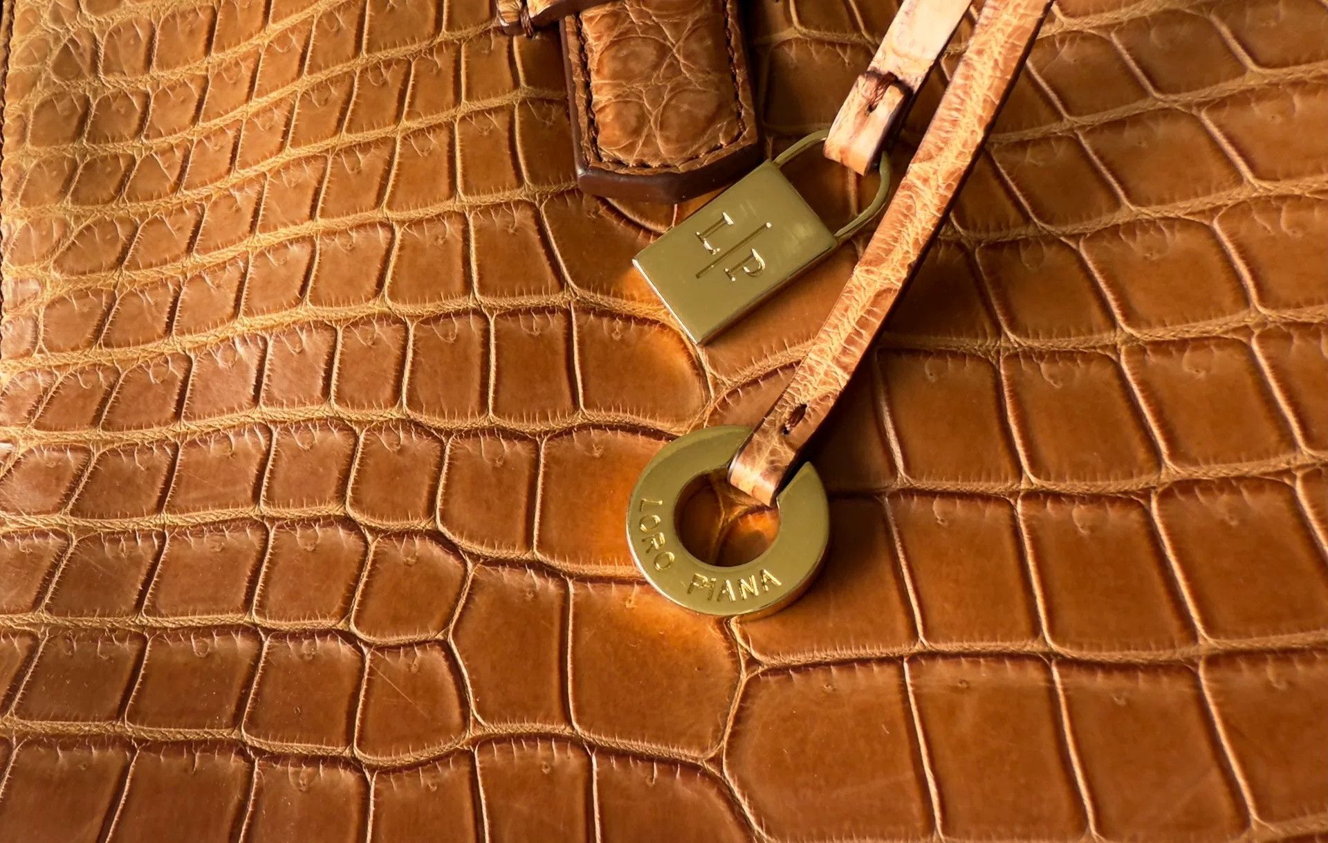 Loro Piana Loro Piana Bellevue Crocodile Handbag Size ONE SIZE - 5 Thumbnail