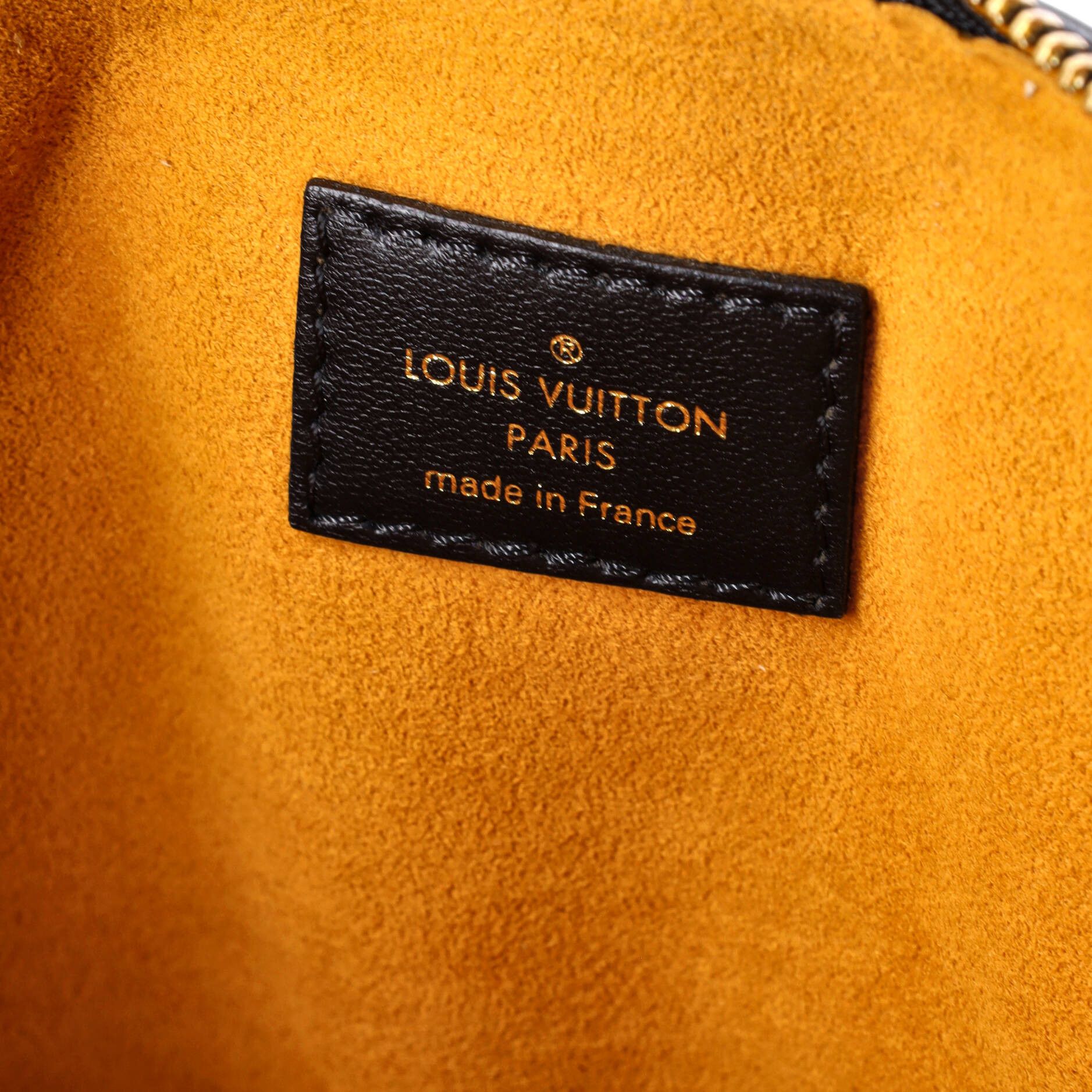 Louis Vuitton Coussin Bag Size ONE SIZE - 6 Thumbnail