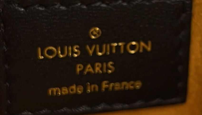 Louis Vuitton Coussin Bag Size ONE SIZE - 7 Thumbnail