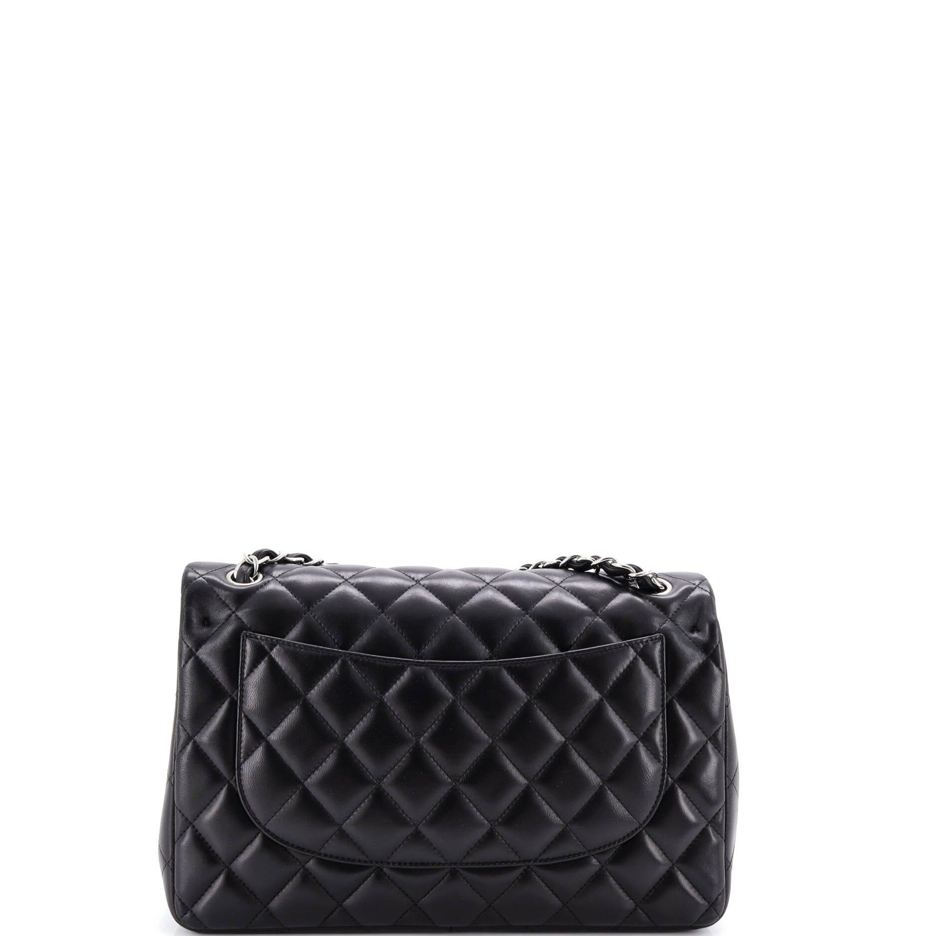 Chanel Classic Double Flap Bag Size ONE SIZE - 4 Thumbnail