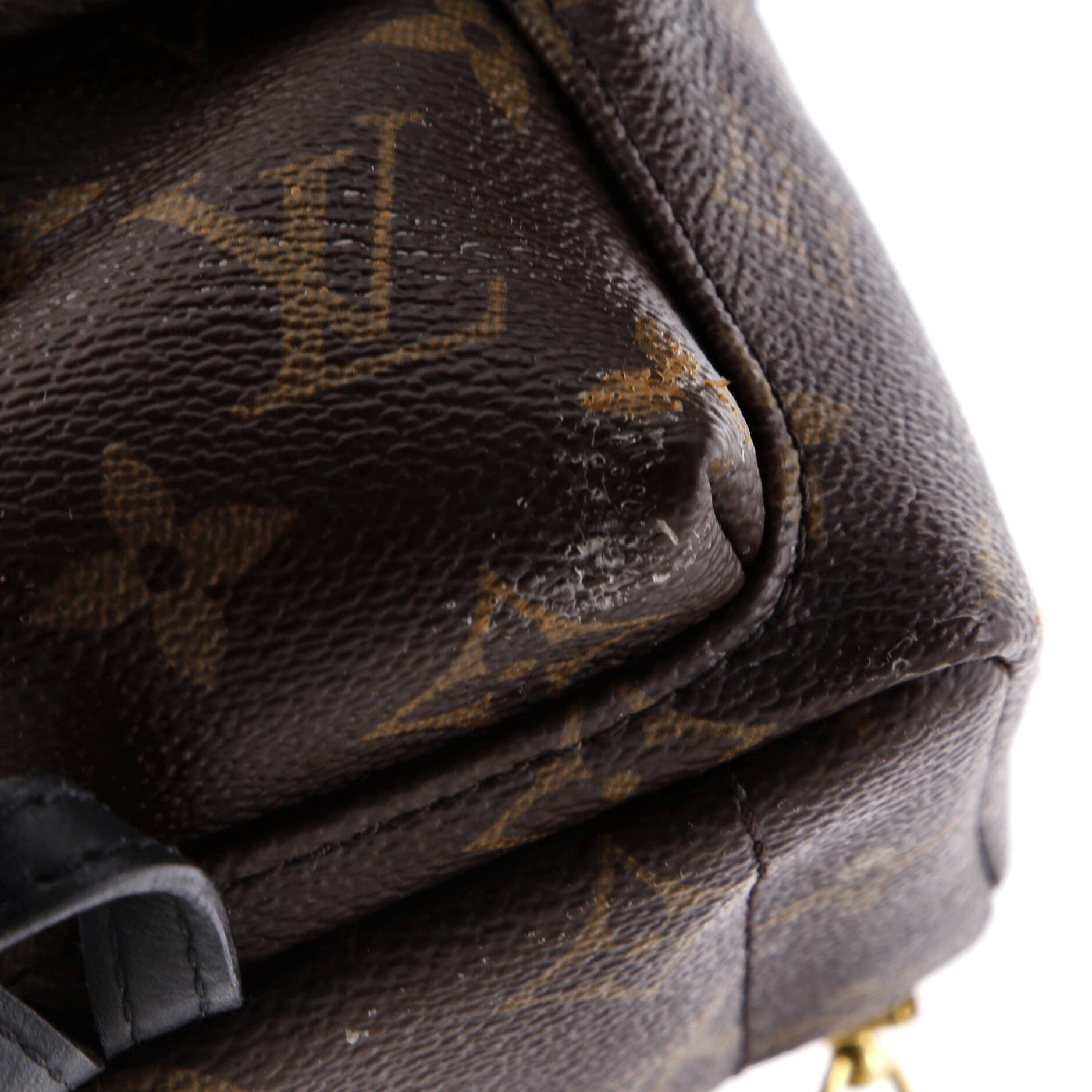 Louis Vuitton Palm Springs Backpack Size ONE SIZE - 6 Thumbnail