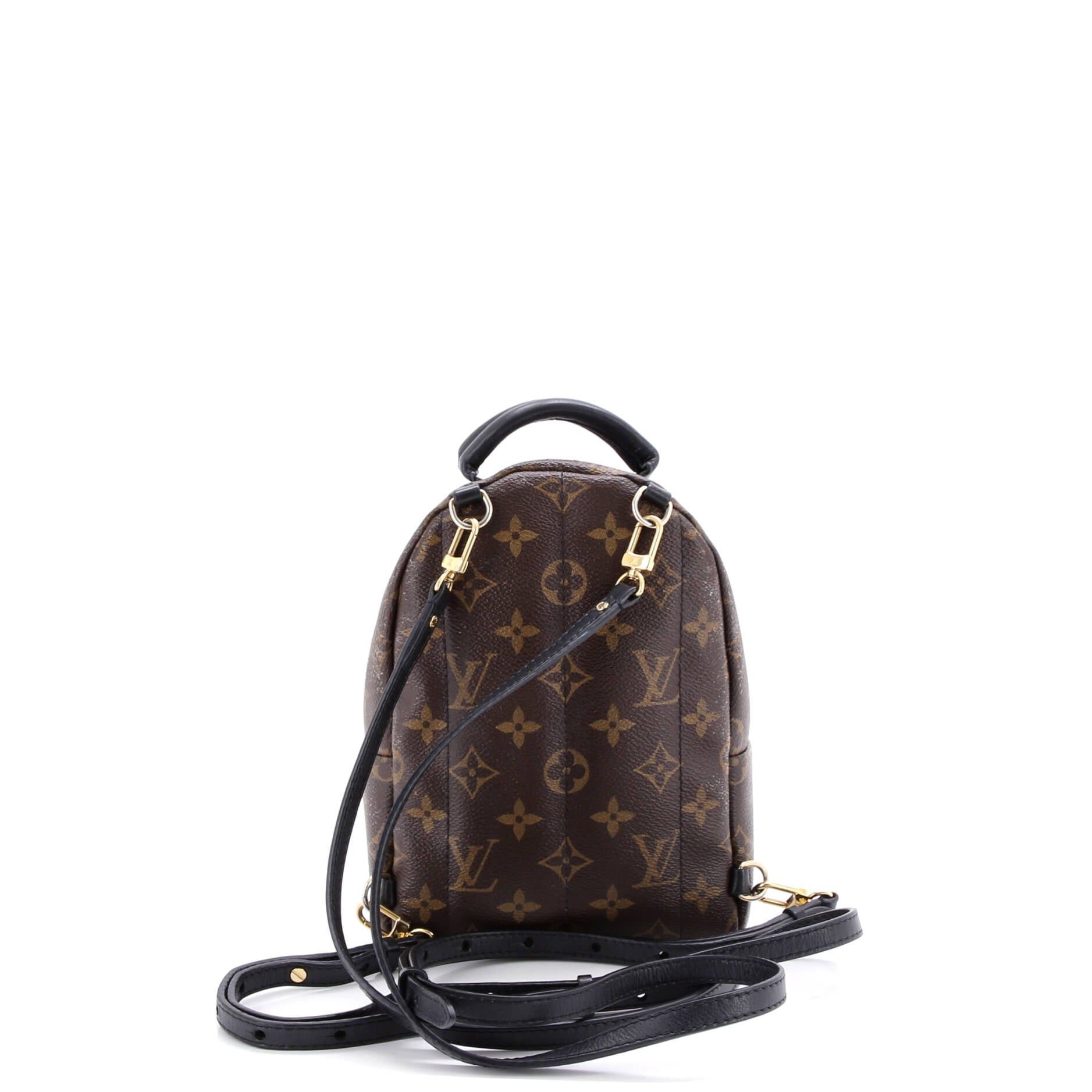 Louis Vuitton Palm Springs Backpack Size ONE SIZE - 3 Thumbnail