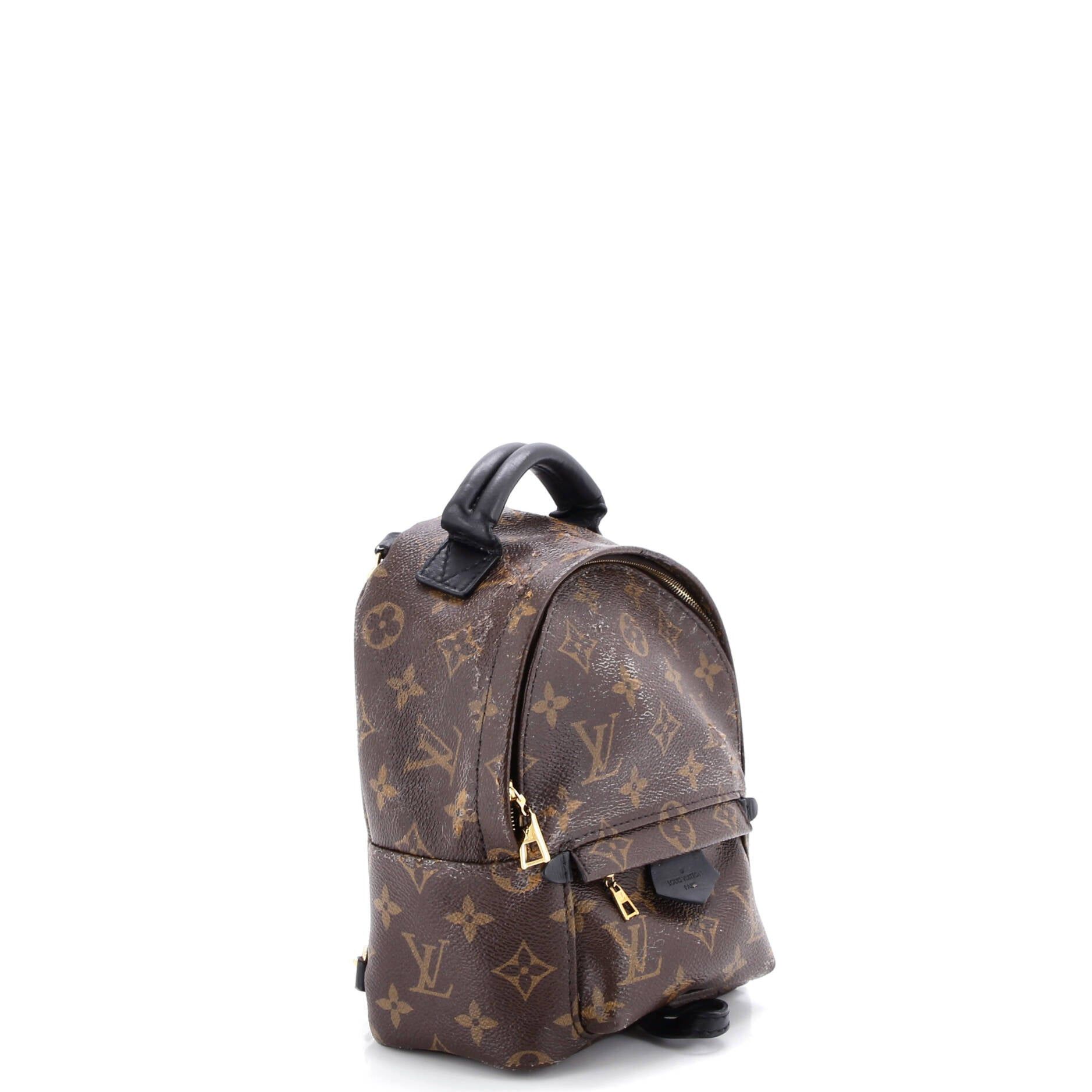 Louis Vuitton Palm Springs Backpack Size ONE SIZE - 2 Thumbnail