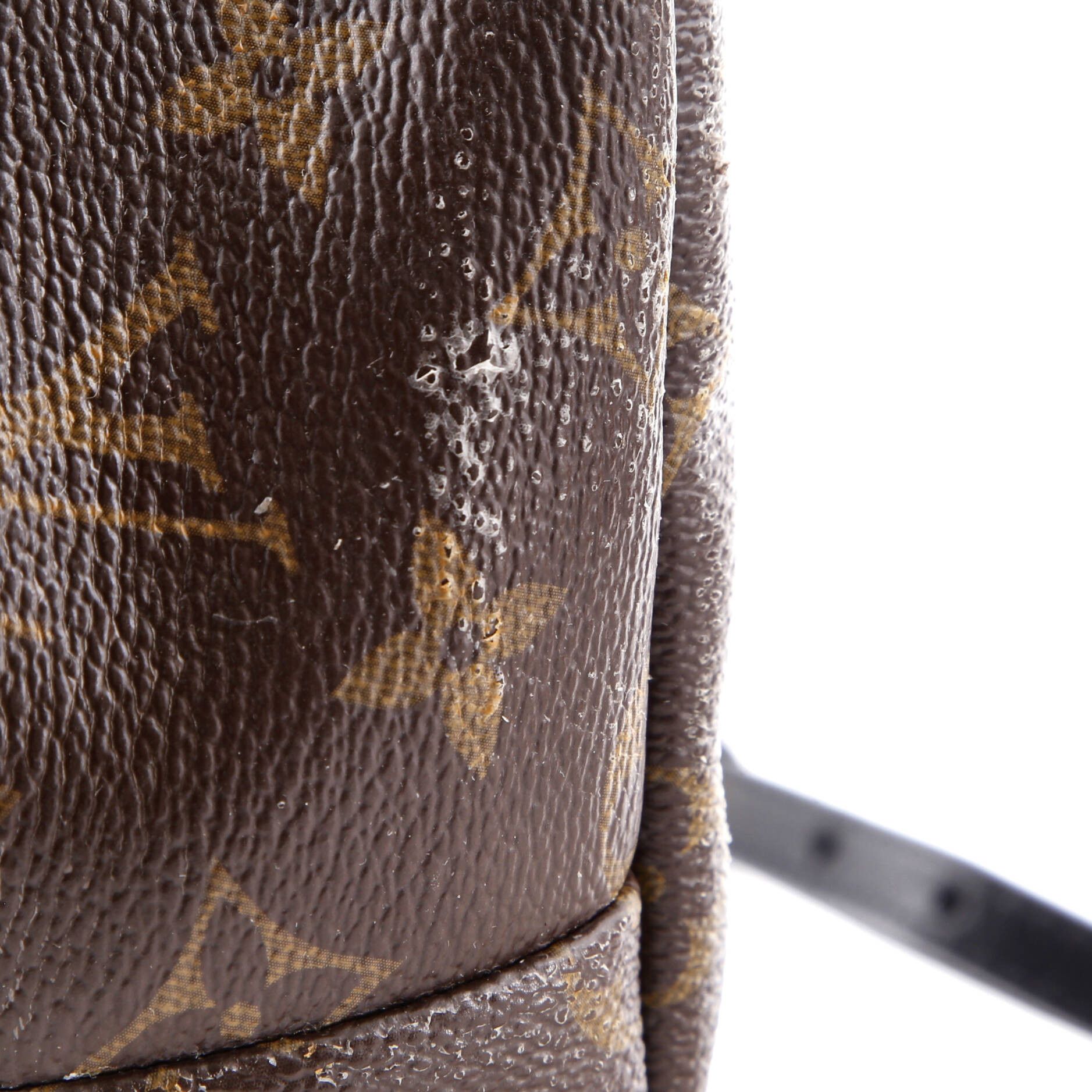 Louis Vuitton Palm Springs Backpack Size ONE SIZE - 8 Thumbnail