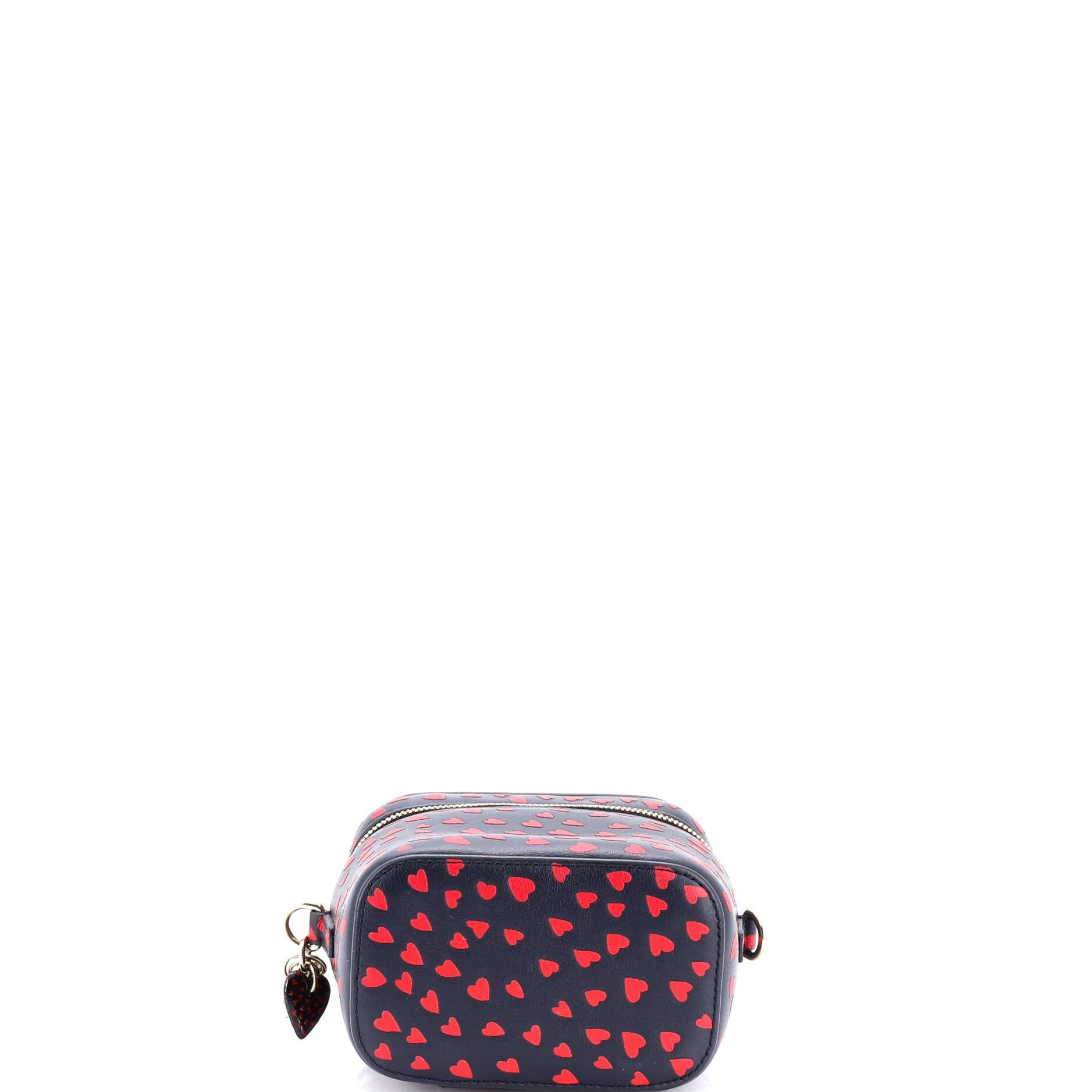 Dior Lady Dior Vanity Case Size ONE SIZE - 4 Thumbnail