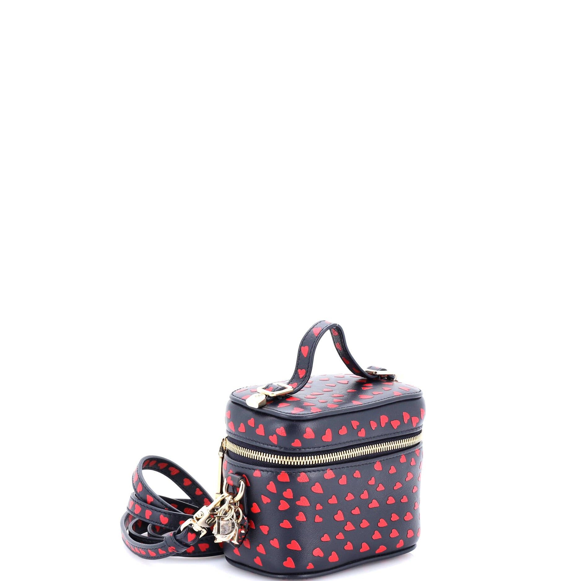 Dior Lady Dior Vanity Case Size ONE SIZE - 2 Thumbnail