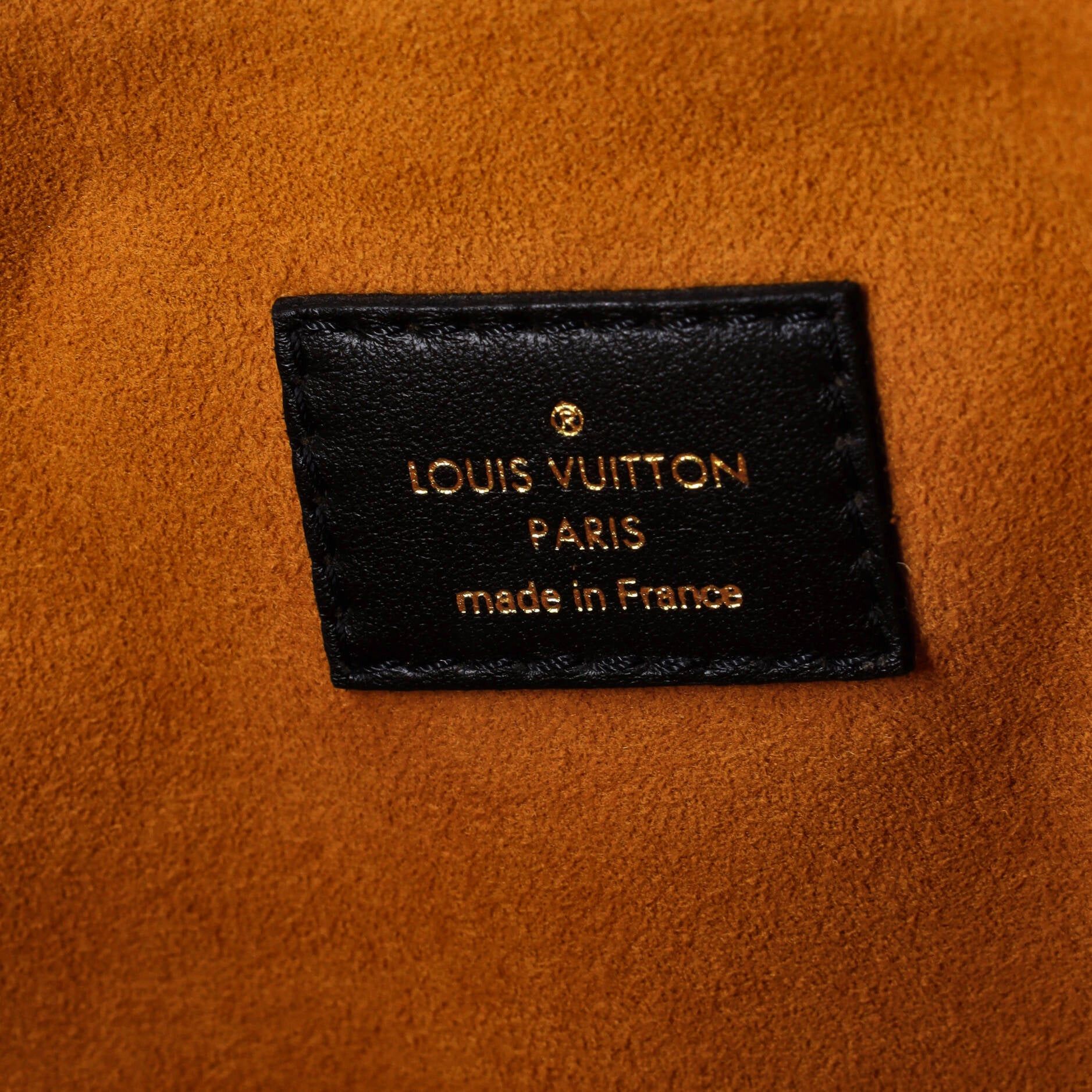 Louis Vuitton Coussin Bag Size ONE SIZE - 6 Thumbnail