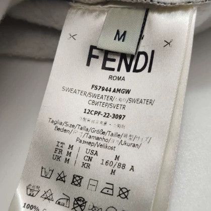 Fendi Fendi Cotton Logo Crewneck Sweatshirt M Size US M / EU 48-50 / 2 - 6 Thumbnail