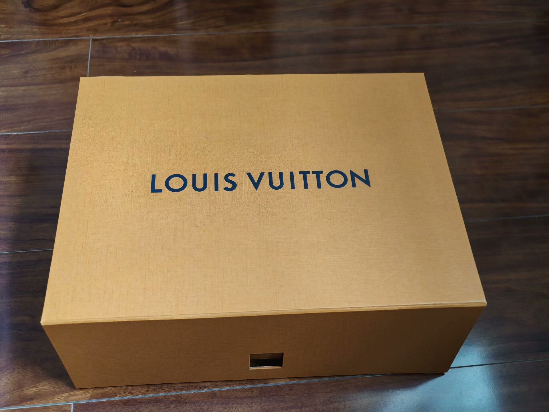 Louis Vuitton LV Run Away Men's Low-Top Shoes Size US 8 / EU 41 - 6 Thumbnail