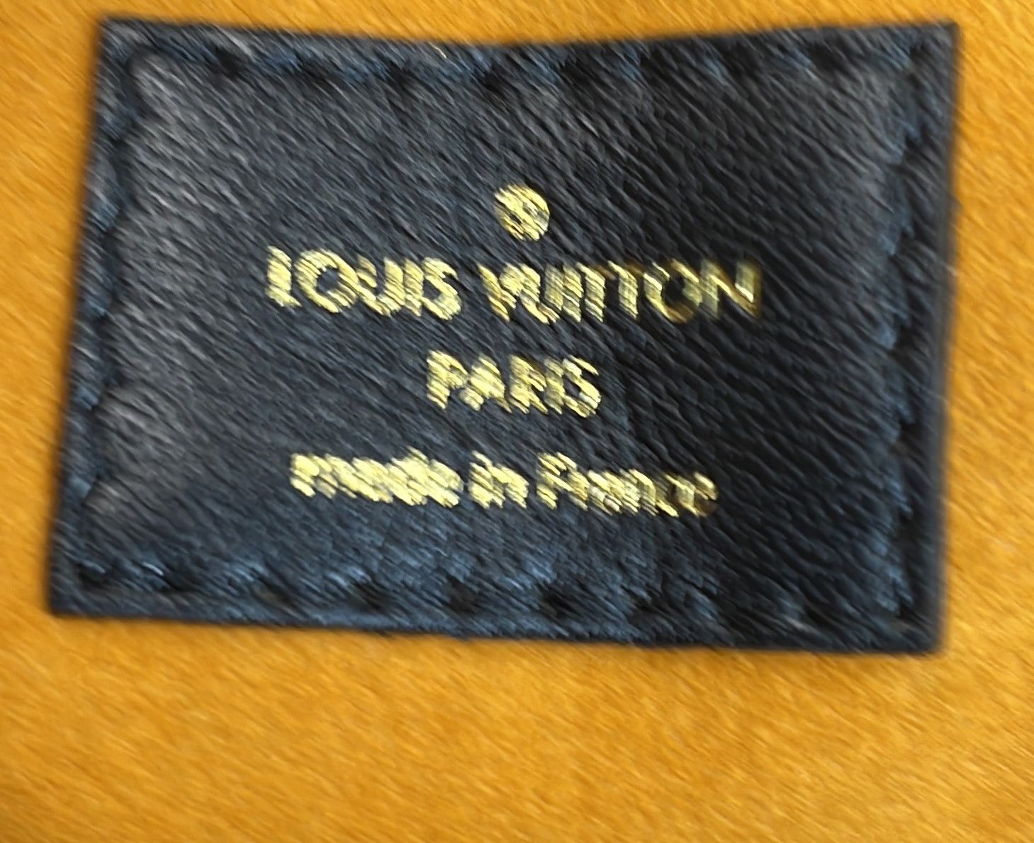 Louis Vuitton Coussin Bag Size ONE SIZE - 7 Thumbnail