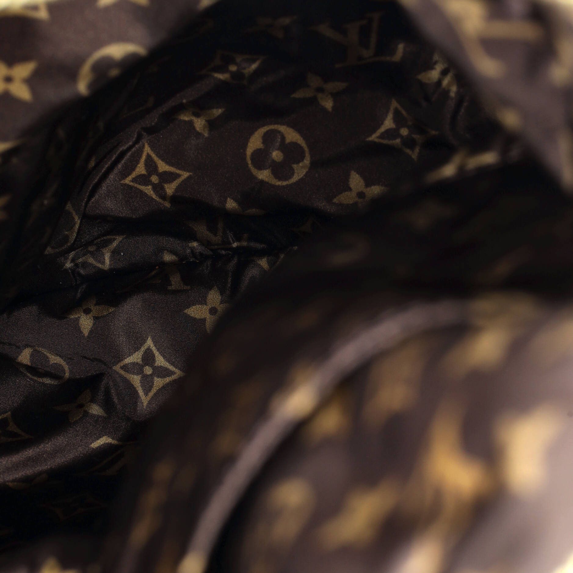 Louis Vuitton Pillow Backpack Size ONE SIZE - 5 Thumbnail