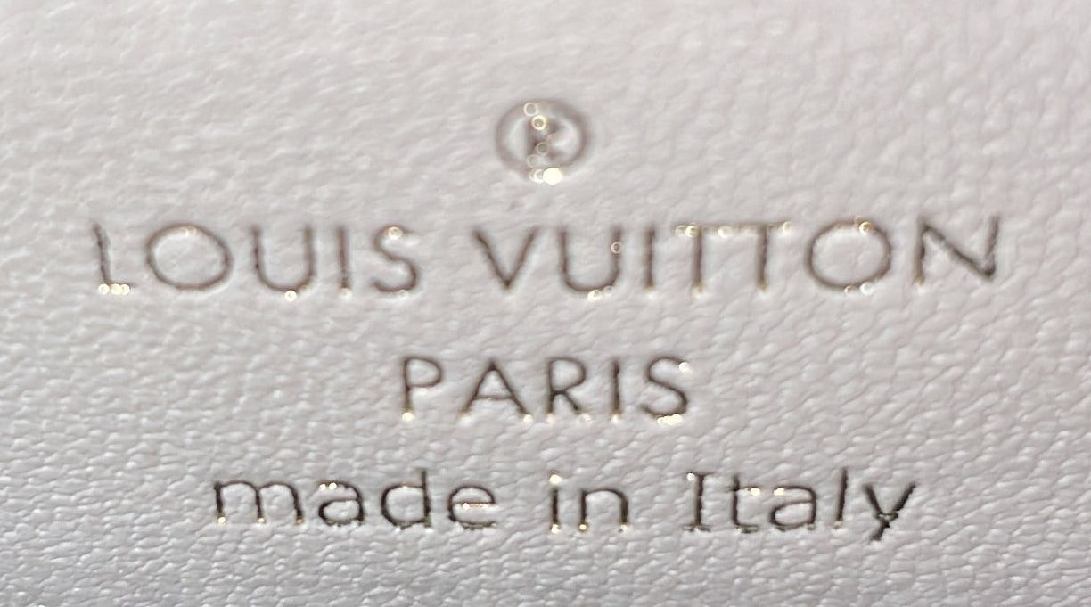 Louis Vuitton Coussin Bag Size ONE SIZE - 7 Thumbnail