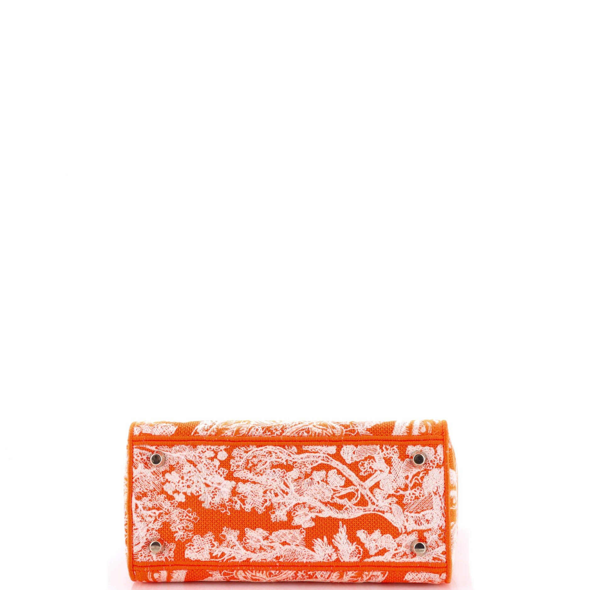 Dior Toile de Jouy Lady D-Lite Bag Size ONE SIZE - 4 Thumbnail