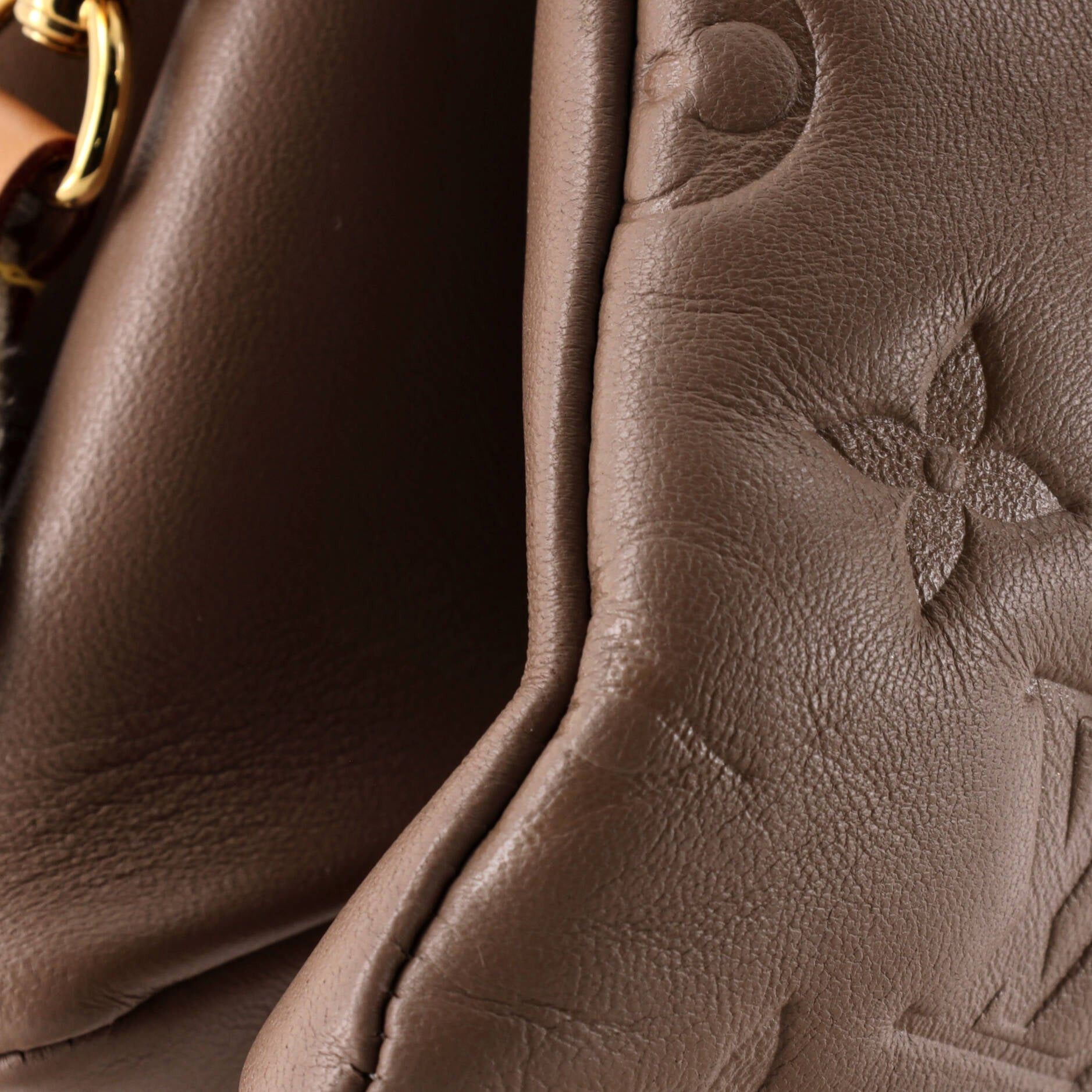 Louis Vuitton Coussin Bag Size ONE SIZE - 6 Thumbnail
