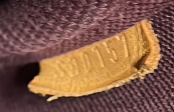 Louis Vuitton Favorite Handbag Size ONE SIZE - 9 Thumbnail