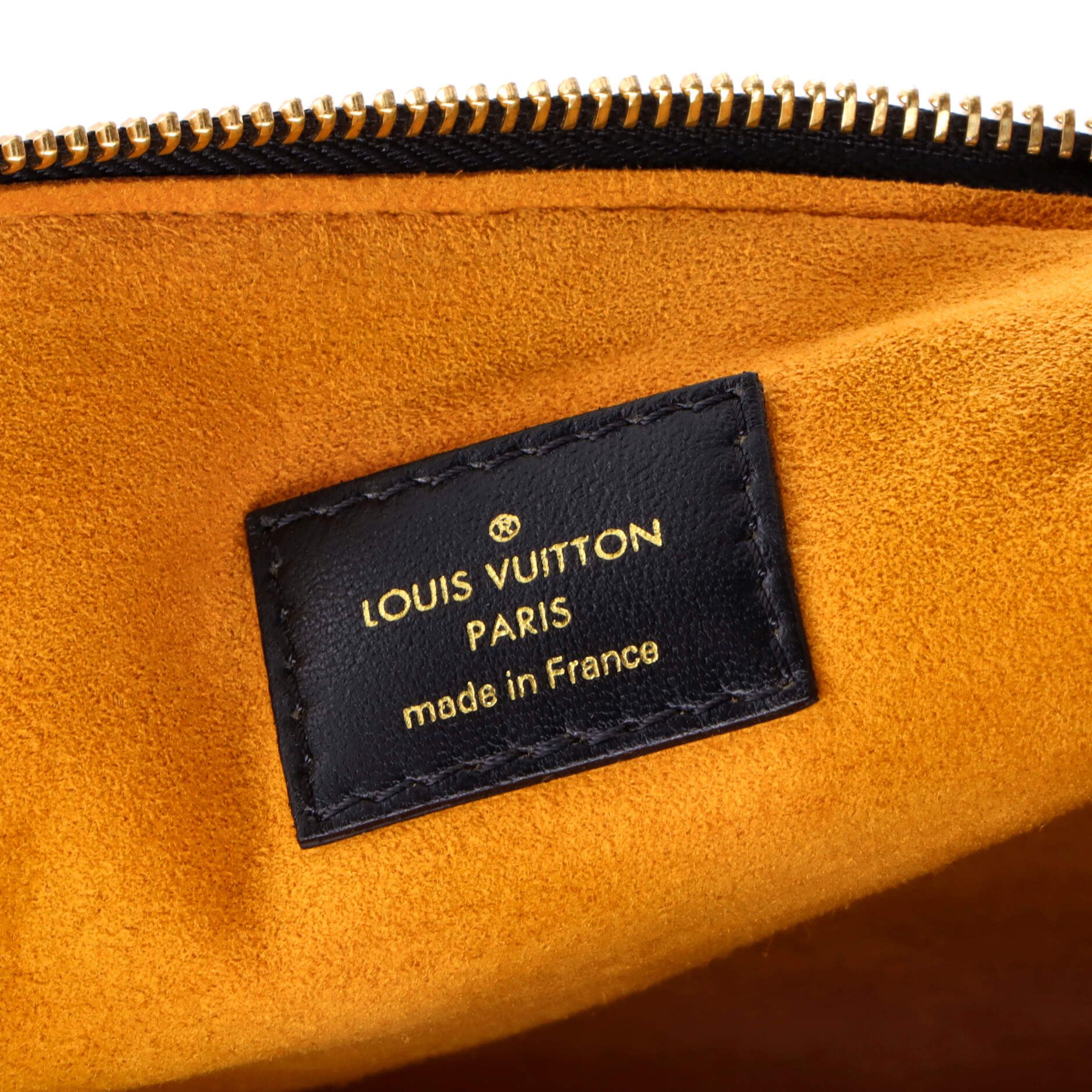 Louis Vuitton Coussin Bag Size ONE SIZE - 6 Thumbnail