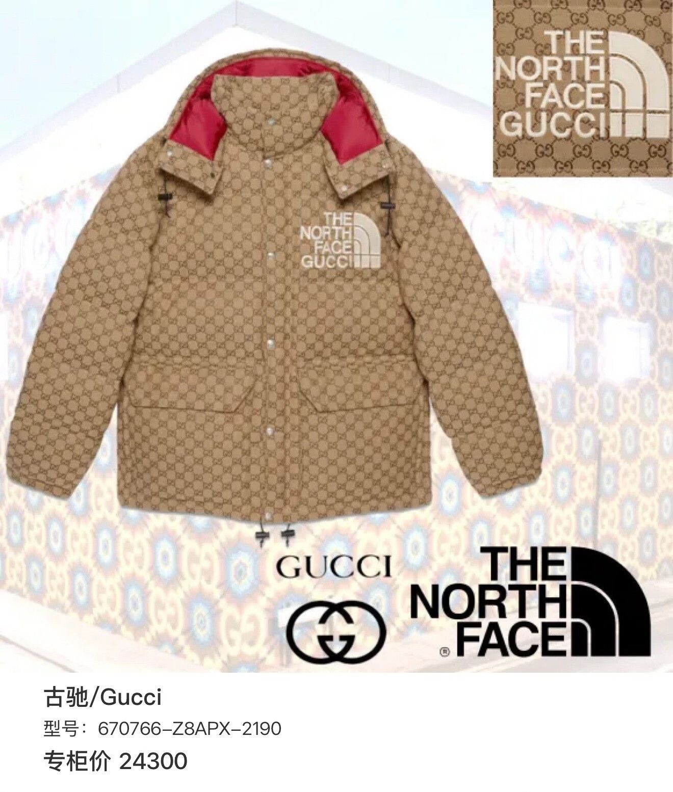 Gucci Gucci x The North Face Puffer Jacket Size US L / EU 52-54 / 3 - 9 Thumbnail