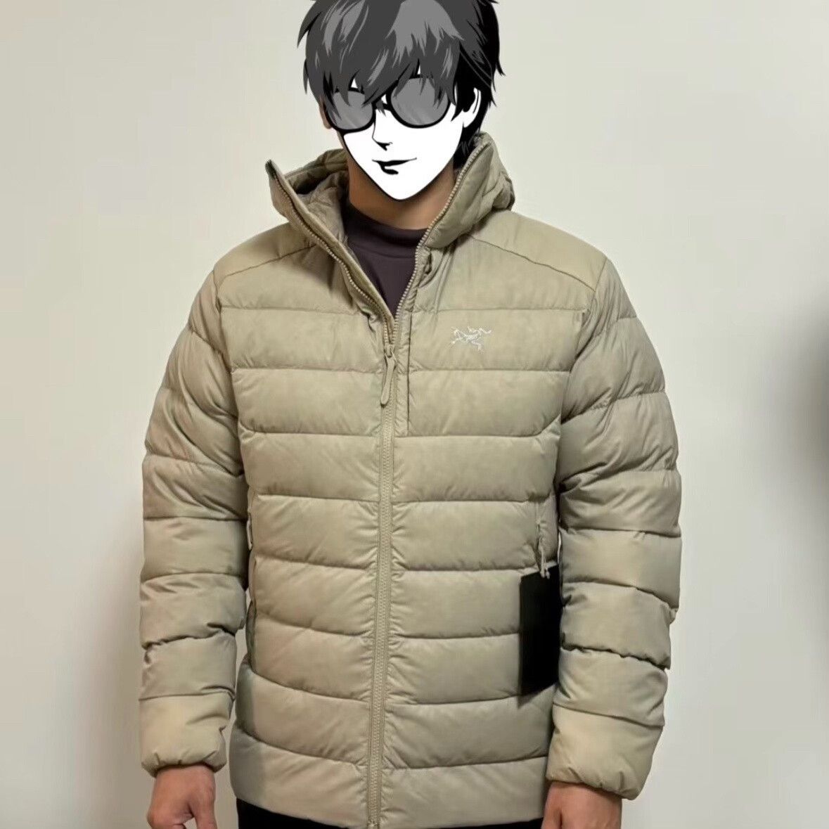 Arc'teryx Arcteryx Thorium Hoody 750 Fill Size US L / EU 52-54 / 3 - 7 Thumbnail