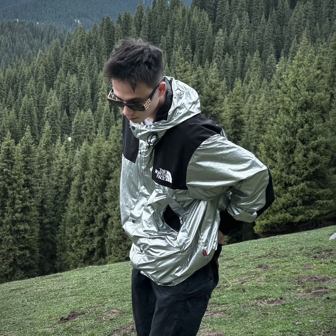 Supreme Supreme The North Face Metallic Shell Jacket Size US L / EU 52-54 / 3 - 9 Thumbnail