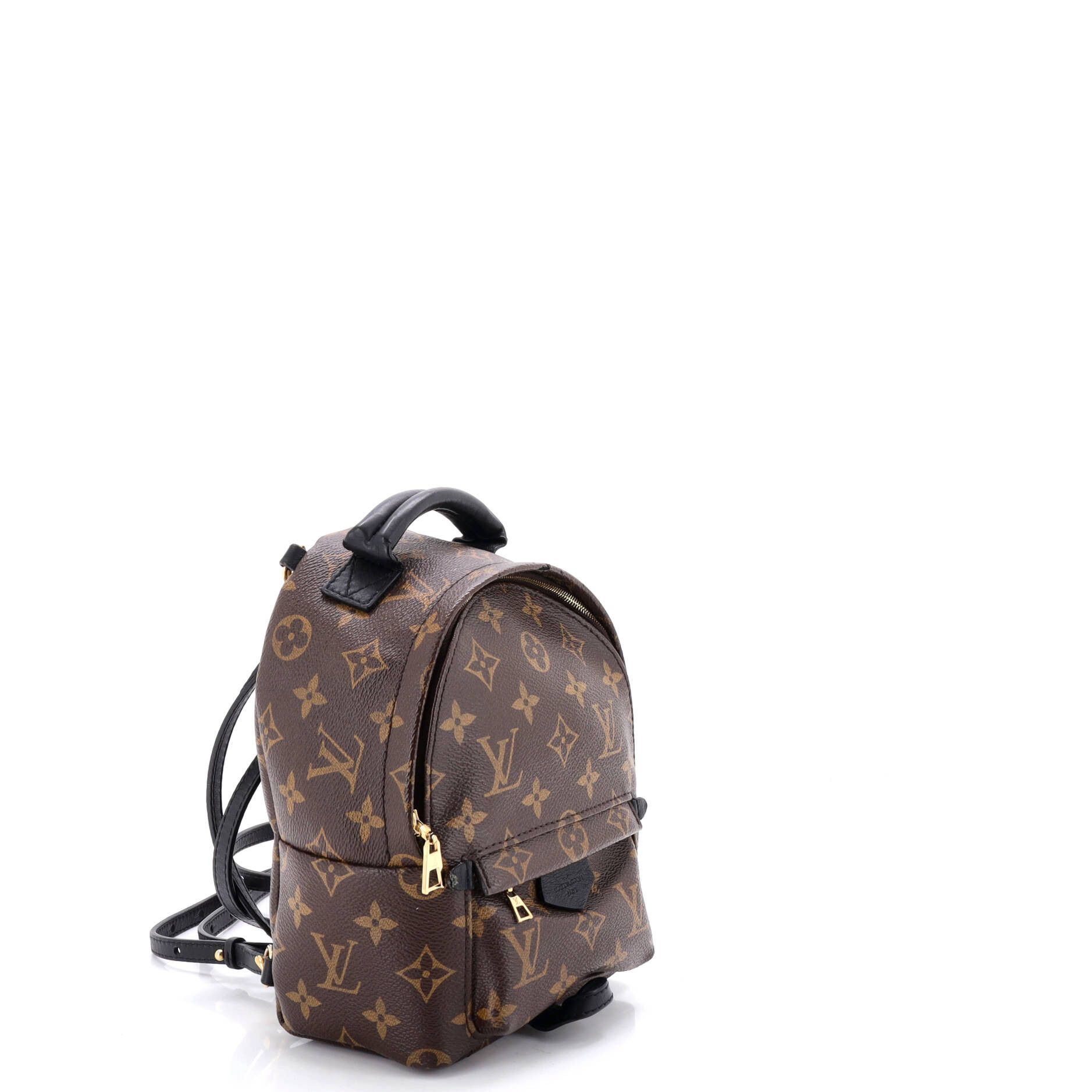 Louis Vuitton Palm Springs Backpack Size ONE SIZE - 2 Thumbnail