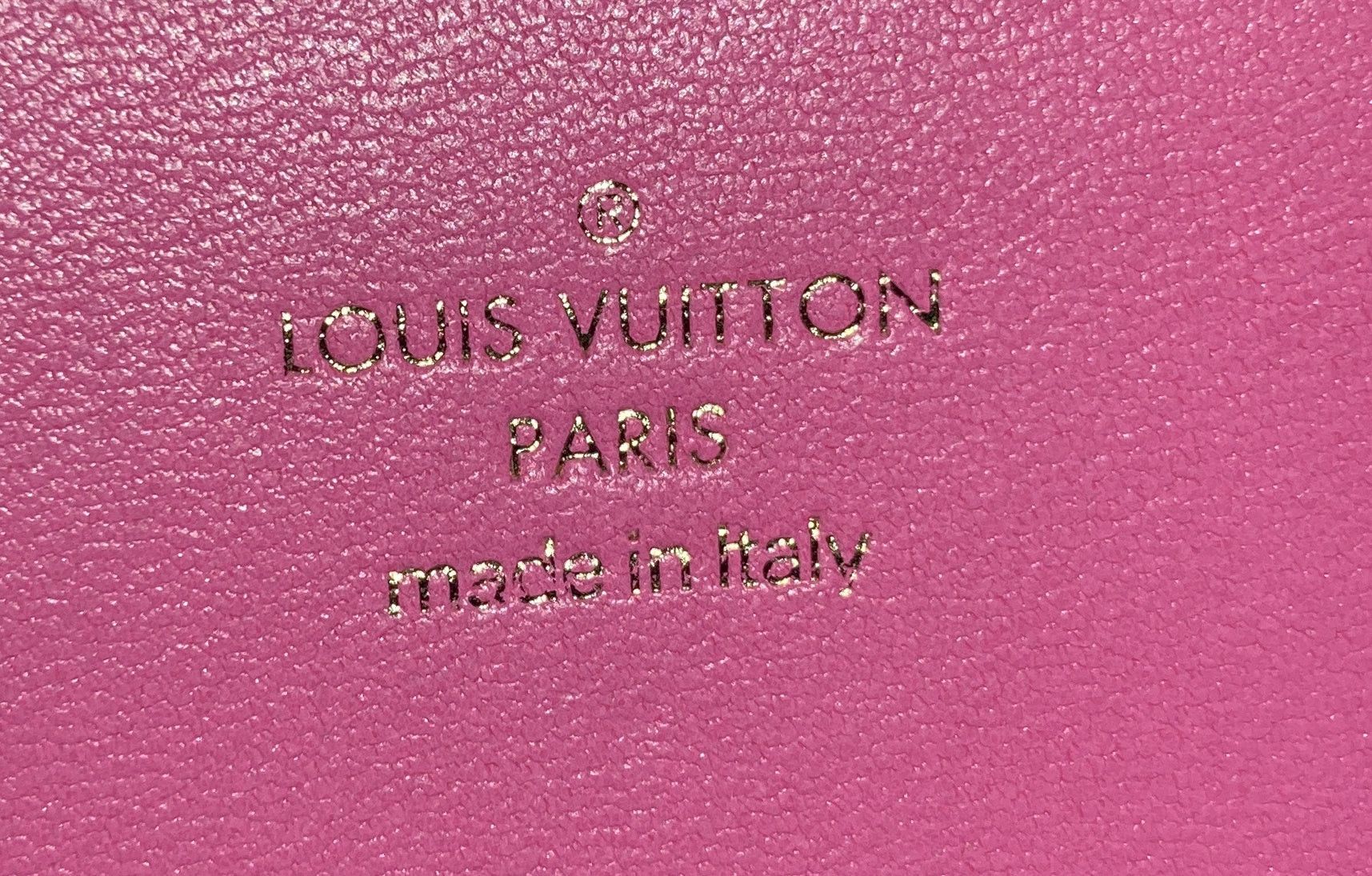 Louis Vuitton Coussin Pochette Size ONE SIZE - 7 Thumbnail