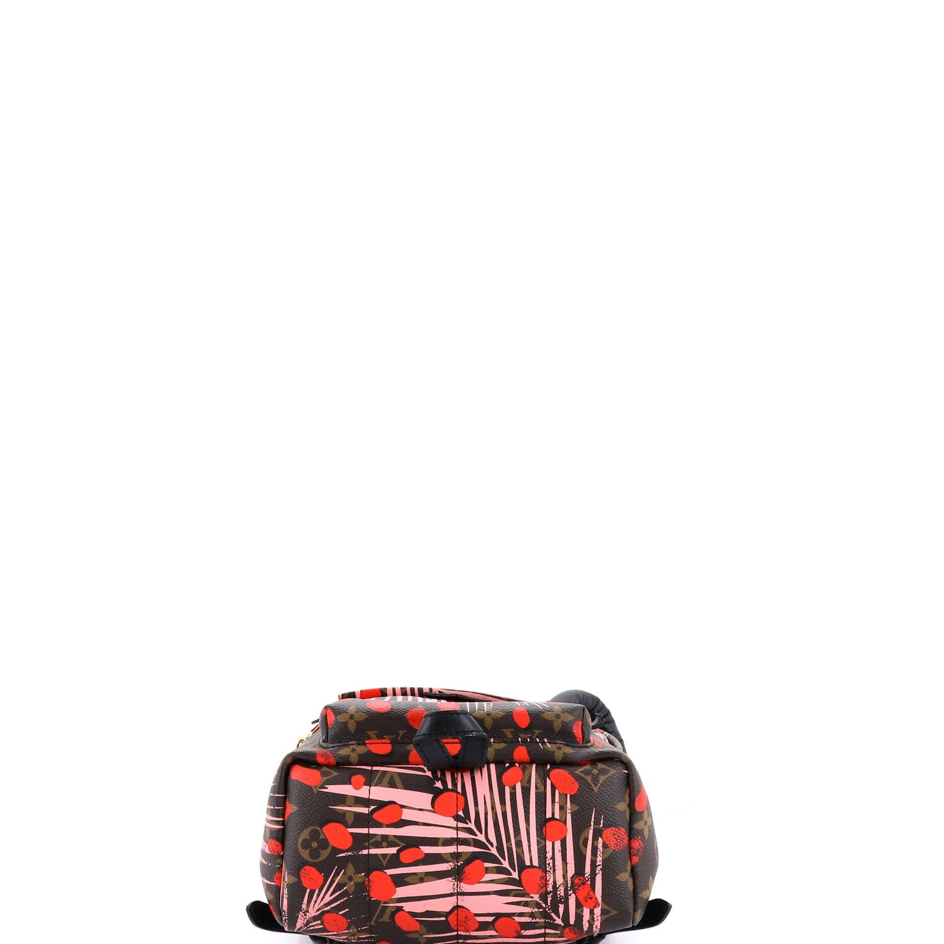 Louis Vuitton Palm Springs Backpack Size ONE SIZE - 4 Thumbnail