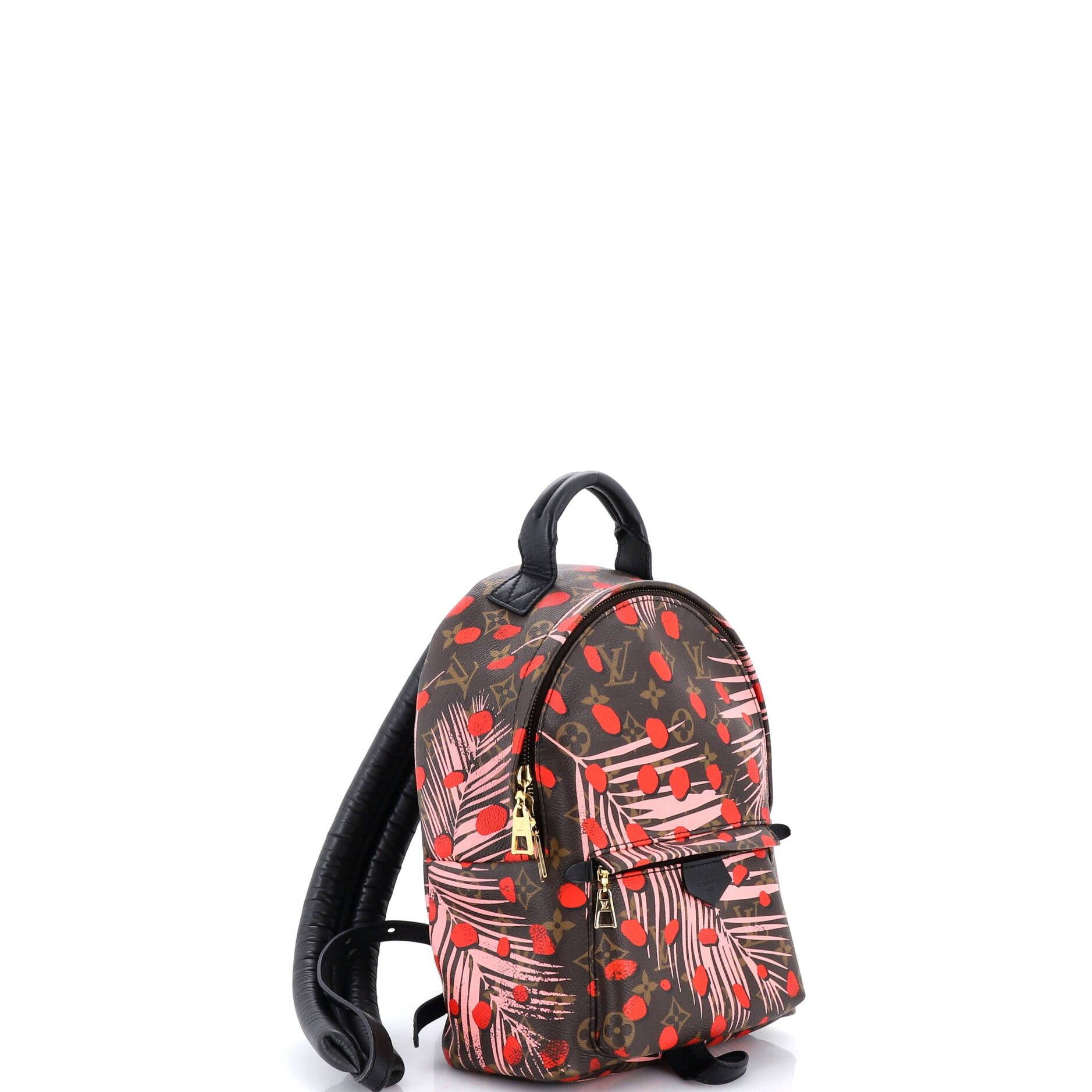 Louis Vuitton Palm Springs Backpack Size ONE SIZE - 2 Thumbnail
