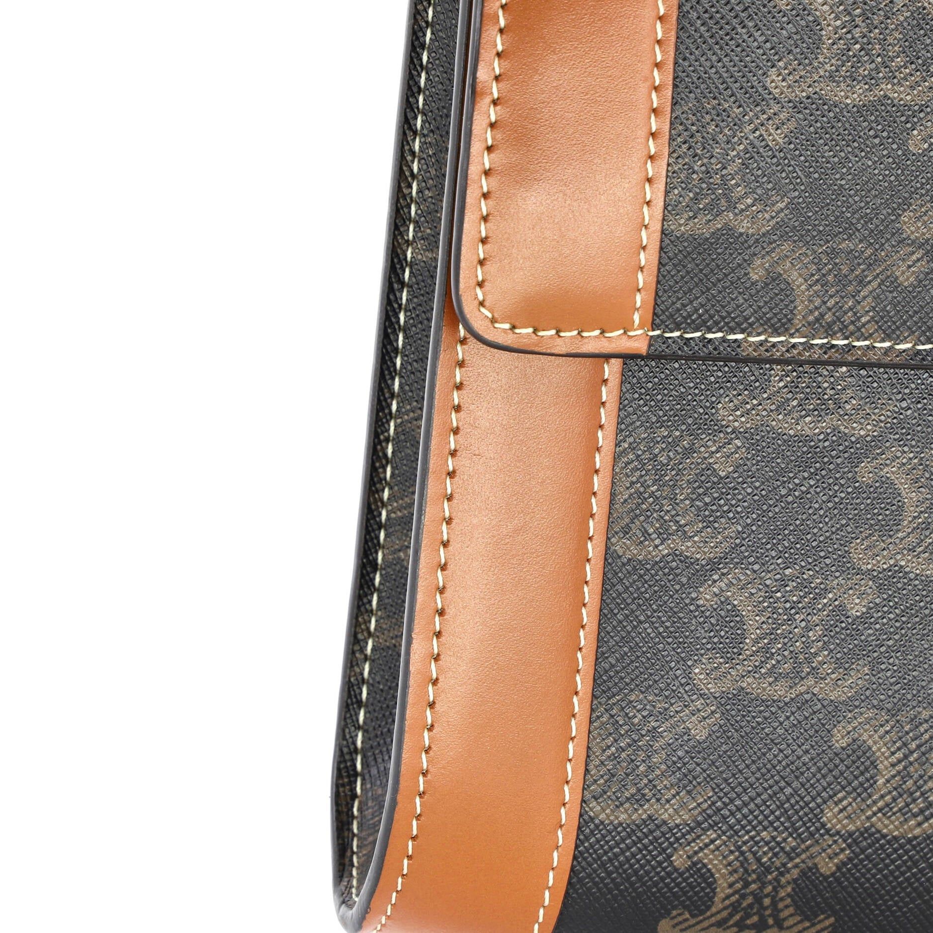 Celine Triomphe Crossbody Bag Size ONE SIZE - 8 Thumbnail