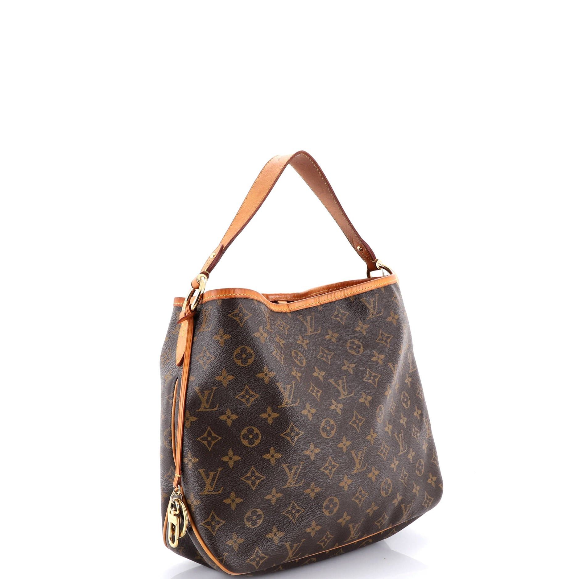 Louis Vuitton Delightful NM Handbag Size ONE SIZE - 2 Thumbnail