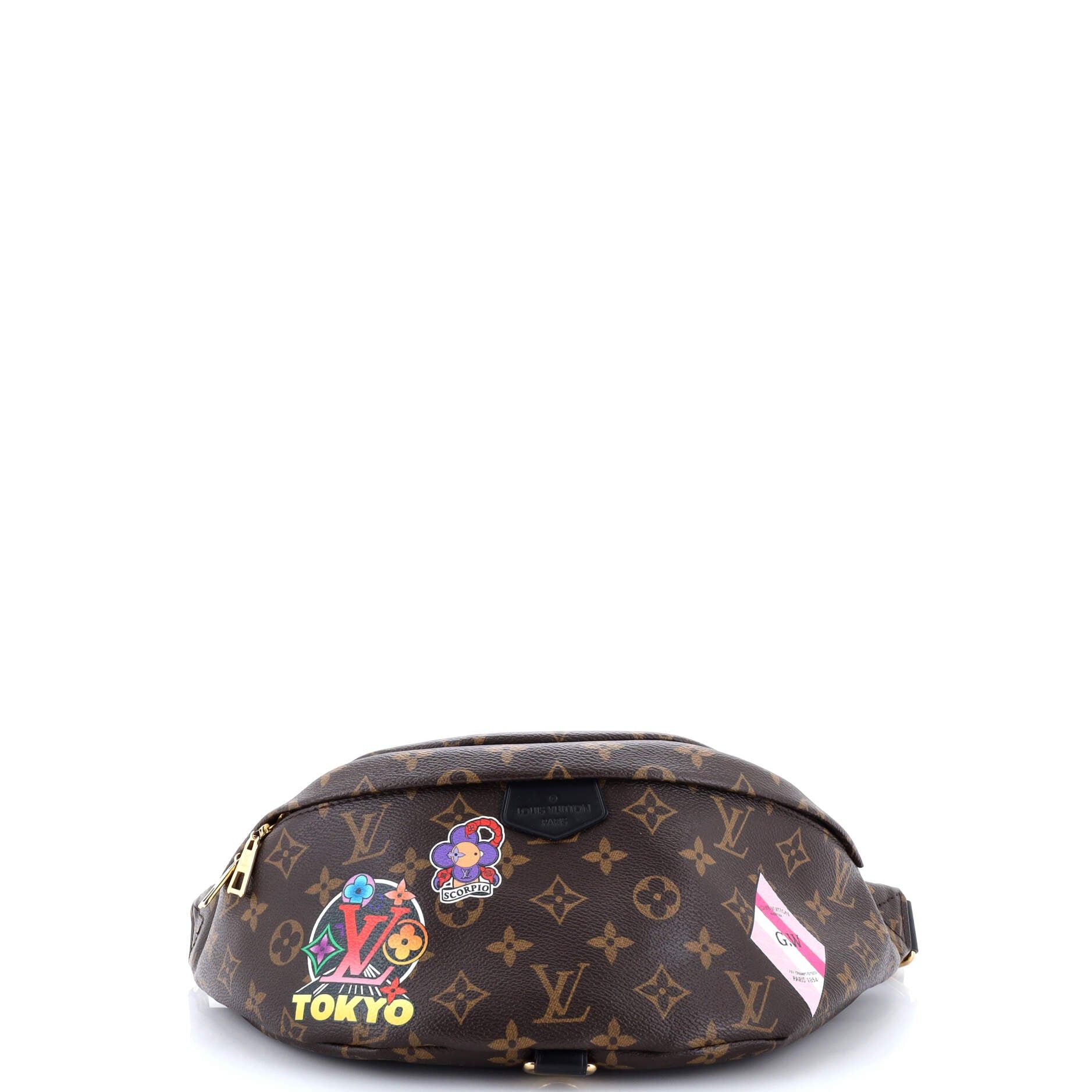 Louis Vuitton Bum Bag Size ONE SIZE - 4 Thumbnail