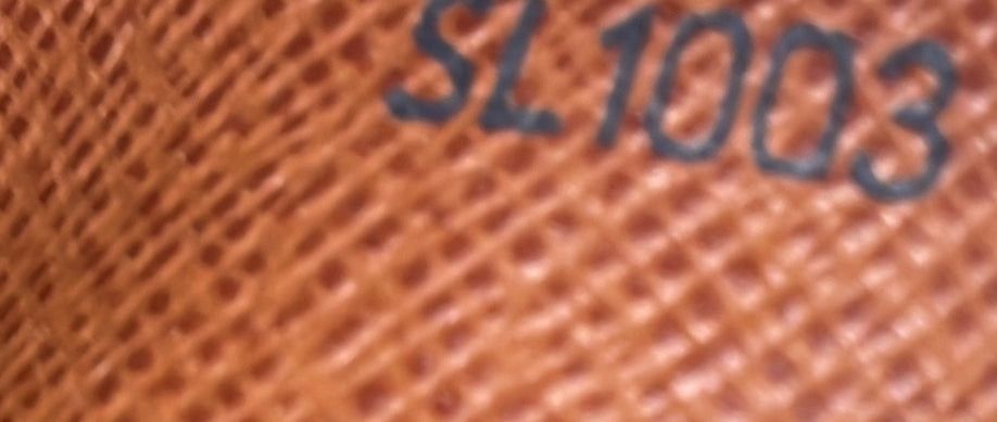Louis Vuitton Danube Handbag Size ONE SIZE - 9 Thumbnail