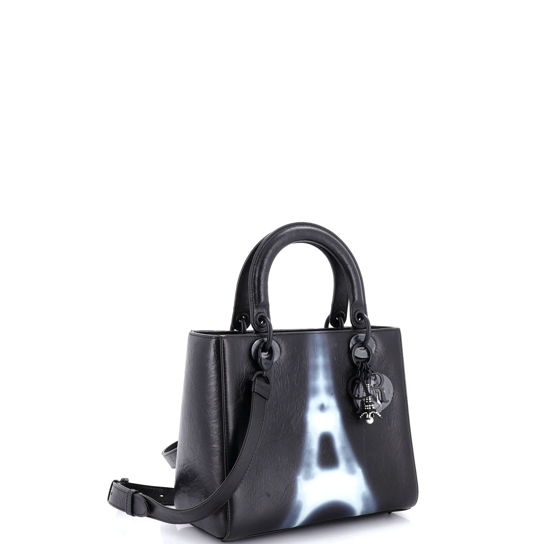 Dior Lady Dior Bag Size ONE SIZE - 2 Thumbnail