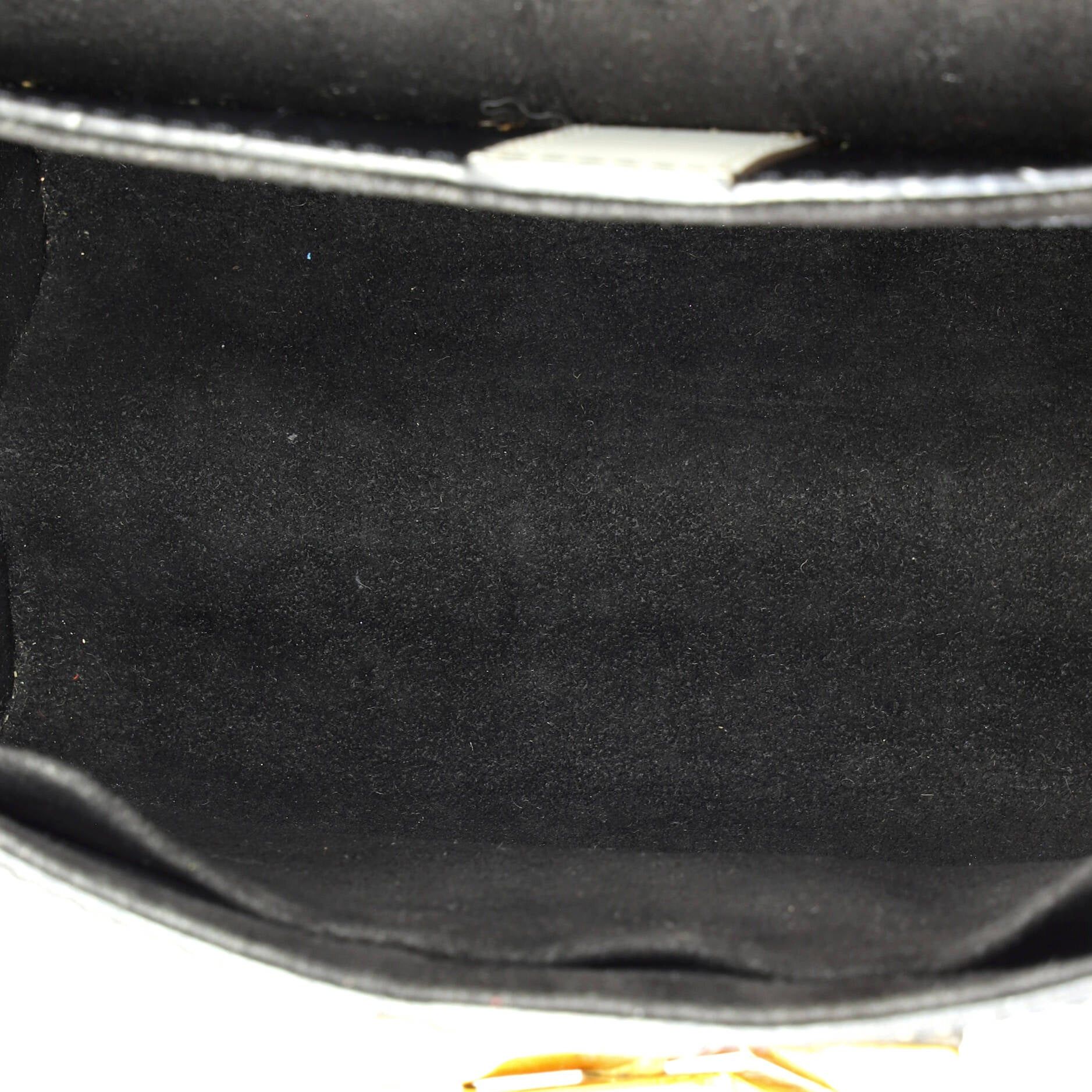 Louis Vuitton Twist Handbag Size ONE SIZE - 5 Thumbnail