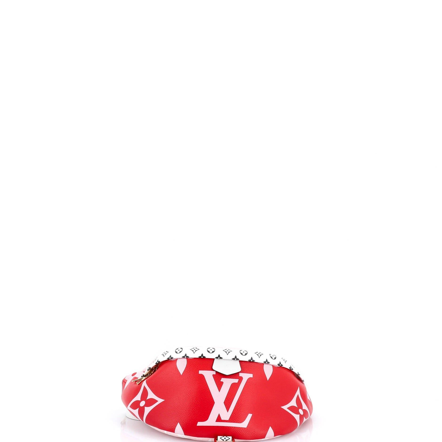 Louis Vuitton Bum Bag Size ONE SIZE - 4 Thumbnail