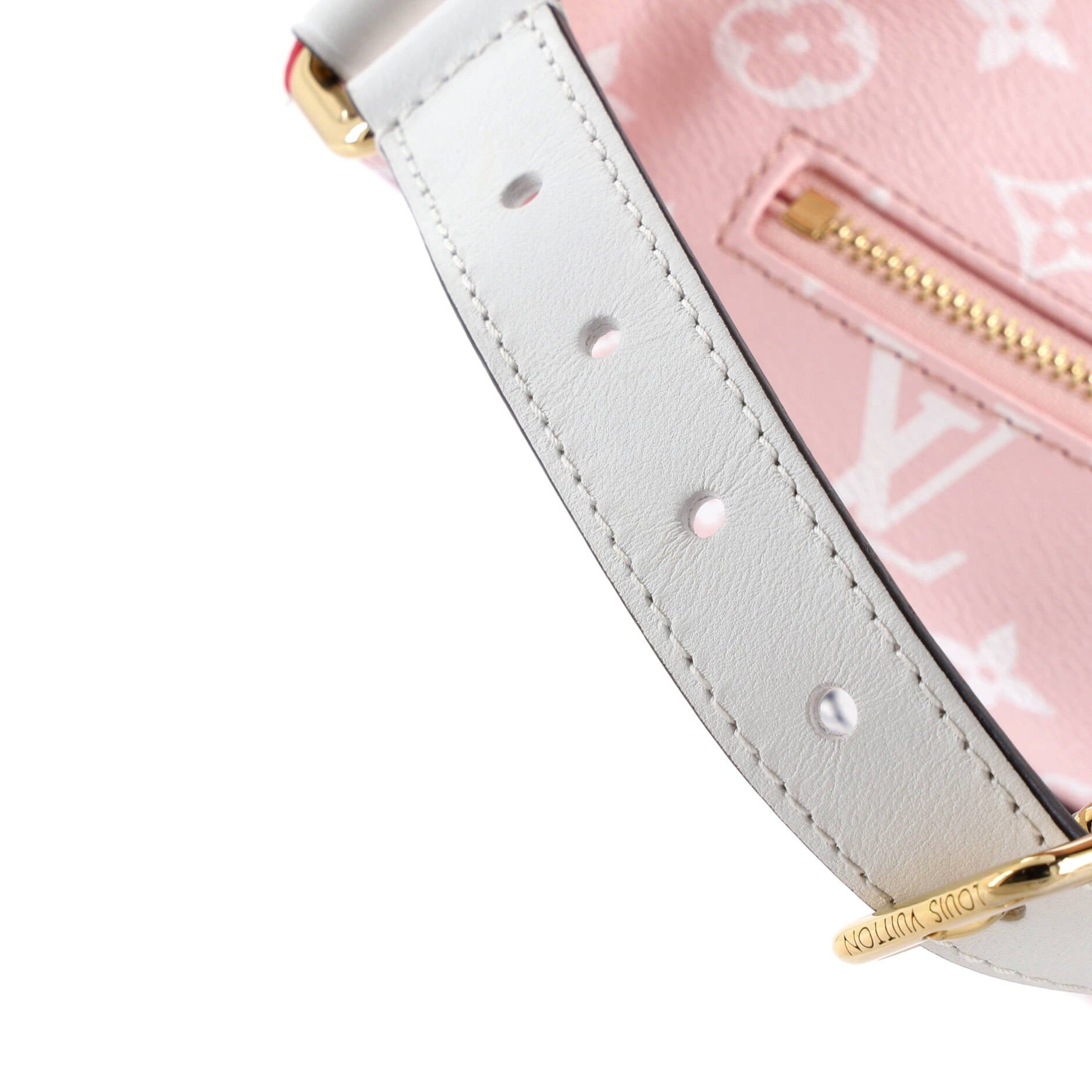Louis Vuitton Bum Bag Size ONE SIZE - 8 Thumbnail