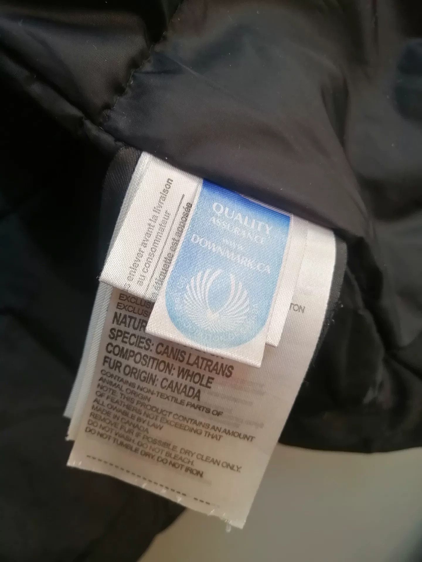 Canada Goose Canada Goose Down Jacket 3XL Size US XXL / EU 58 / 5 - 8 Thumbnail
