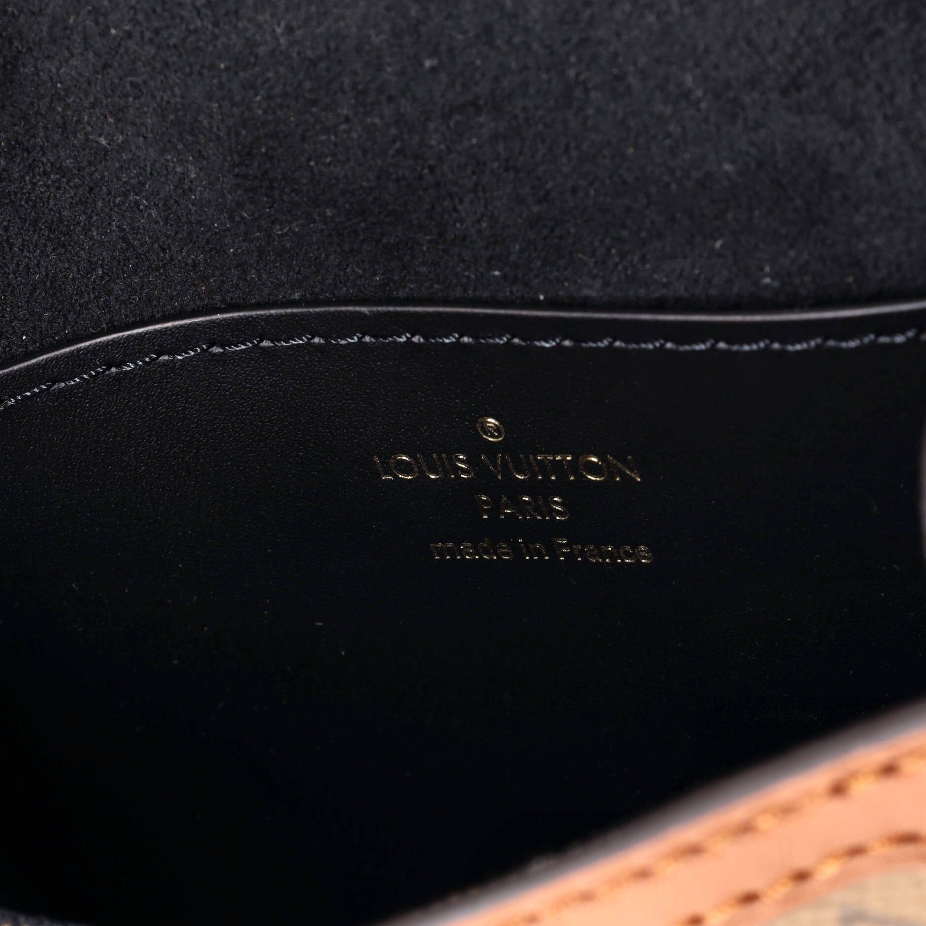 Louis Vuitton Dauphine Bumbag Size ONE SIZE - 6 Thumbnail