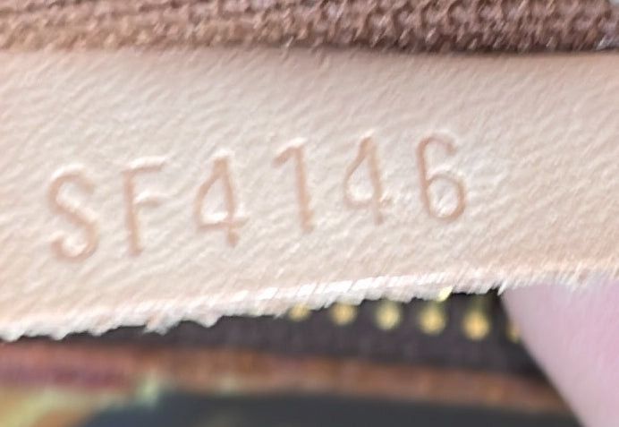 Louis Vuitton Odeon Handbag Size ONE SIZE - 8 Thumbnail