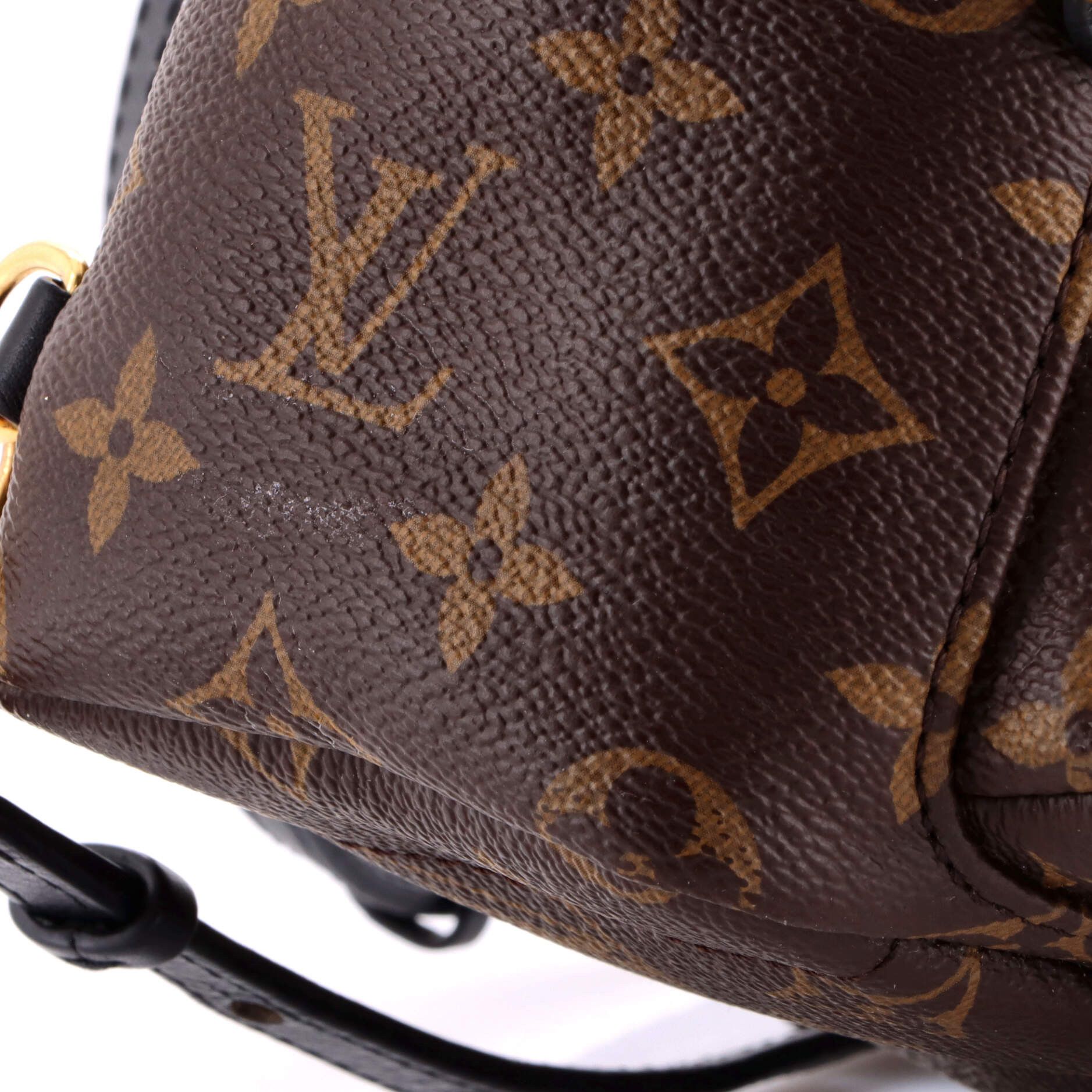 Louis Vuitton Palm Springs Backpack Size ONE SIZE - 7 Thumbnail