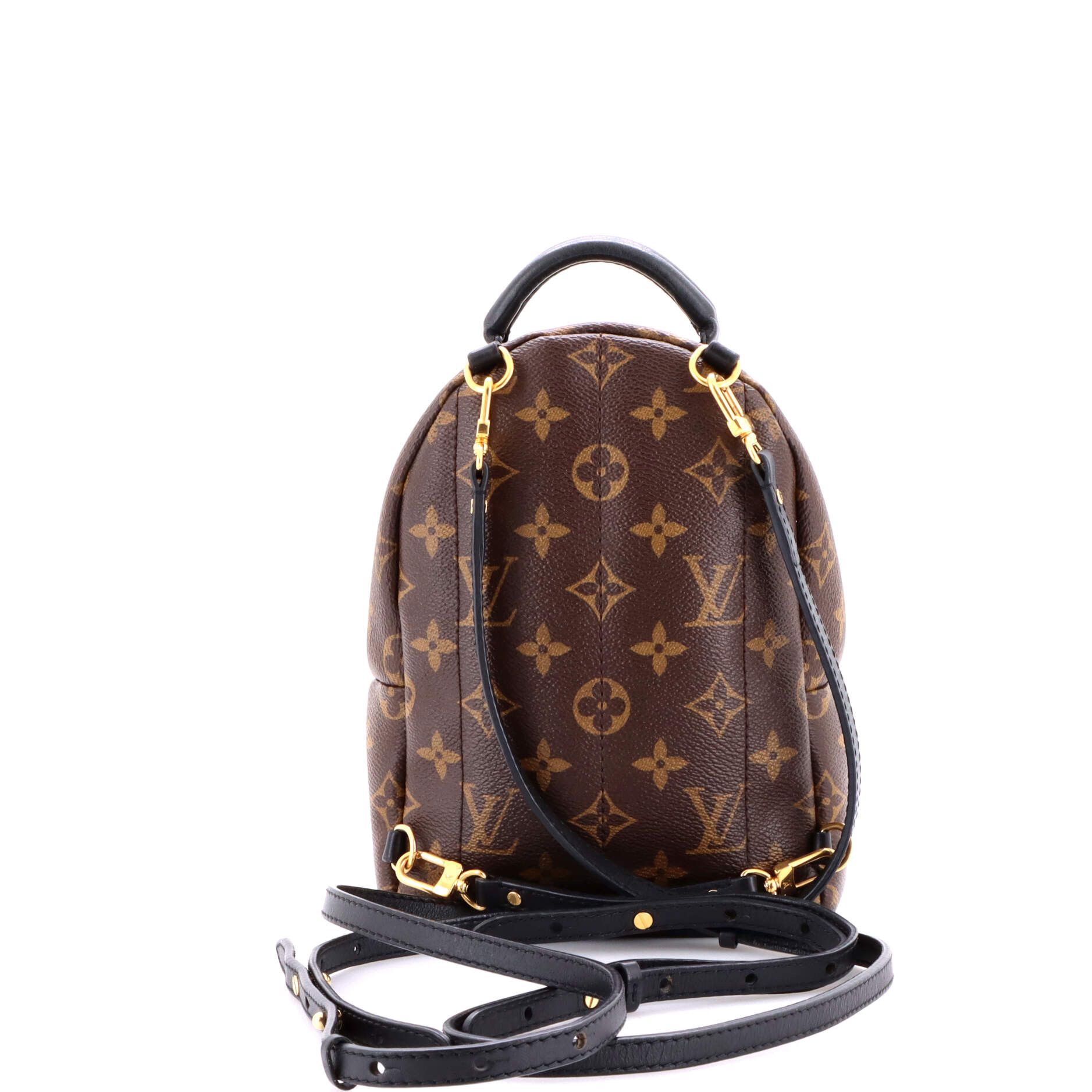 Louis Vuitton Palm Springs Backpack Size ONE SIZE - 3 Thumbnail