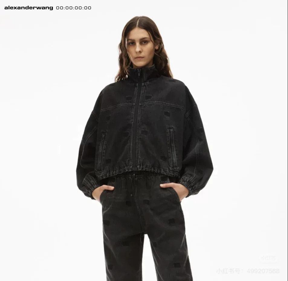 Alexander Wang Alexander Wang Gray Embroidered Denim Jacket Size XS / US 0-2 / IT 36-38 - 4 Thumbnail