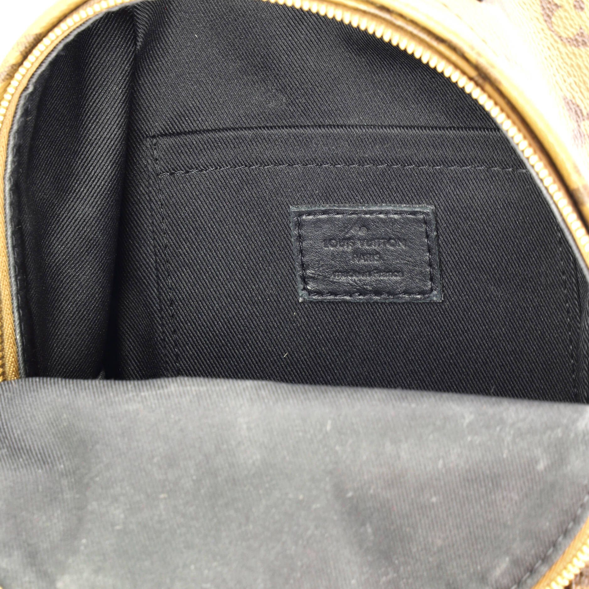 Louis Vuitton Palm Springs Backpack Size ONE SIZE - 6 Thumbnail
