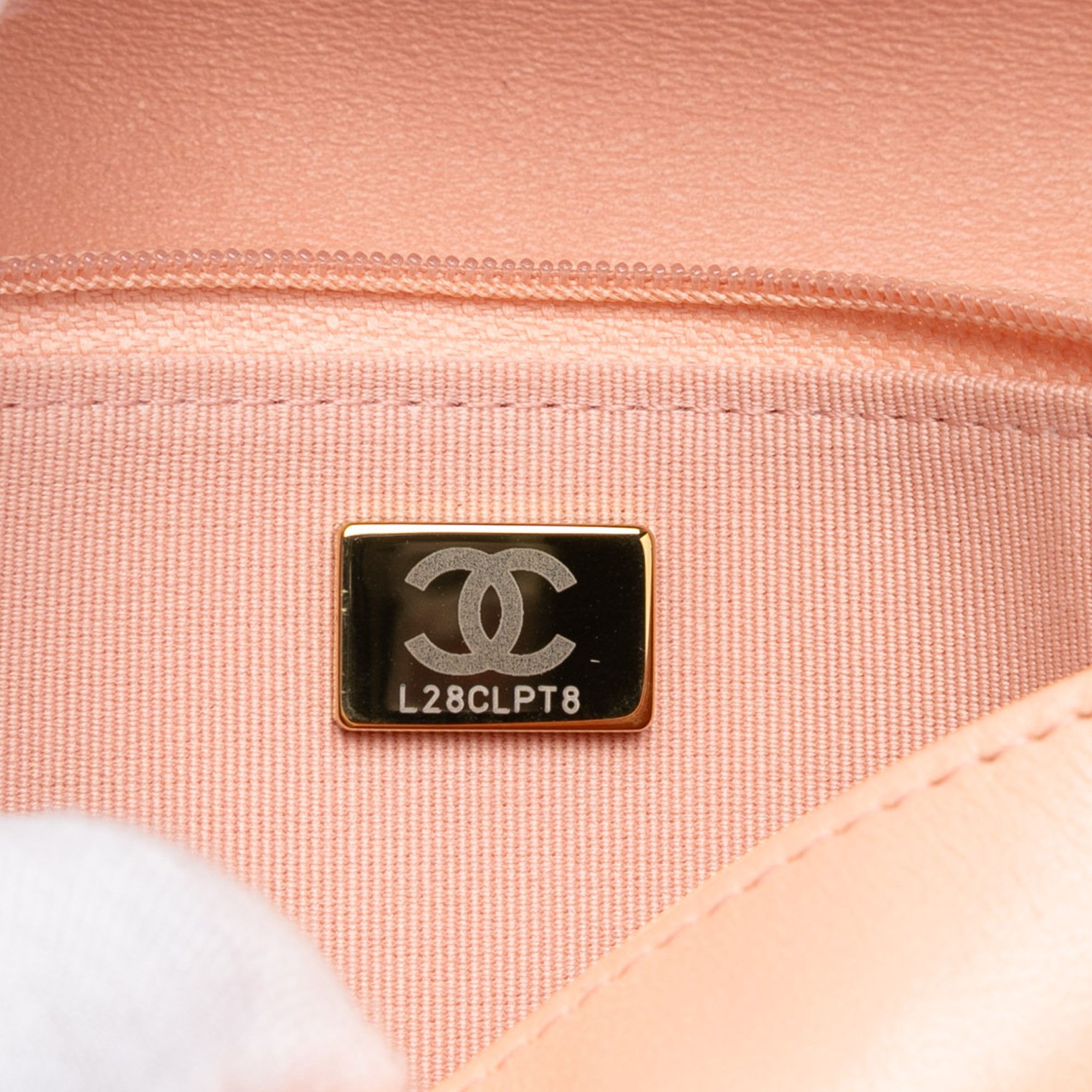 Chanel Chanel Quilted Lambskin 19 Wallet on Chain Size ONE SIZE - 6 Thumbnail