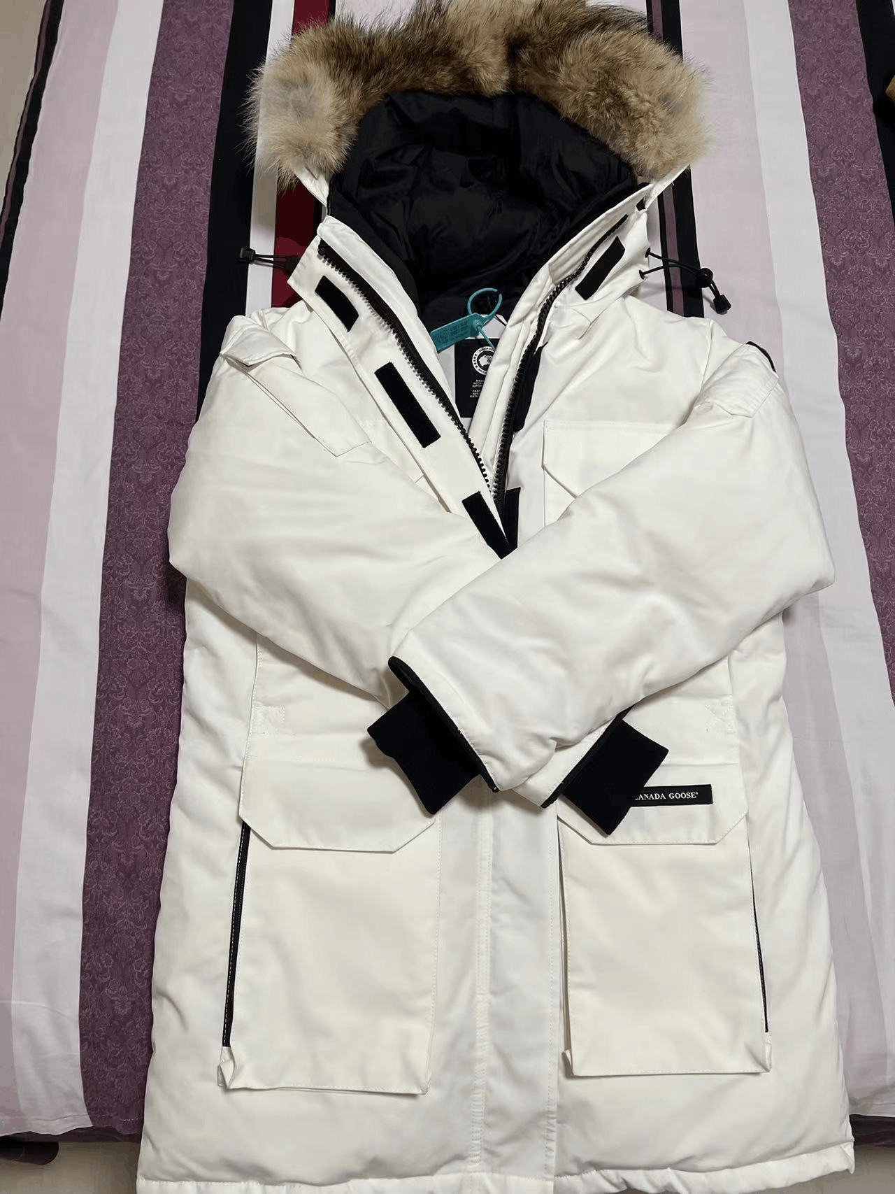 Canada Goose Canada Goose Women's Expedition Parka Jacket Size M / US 6-8 / IT 42-44 - 6 Thumbnail
