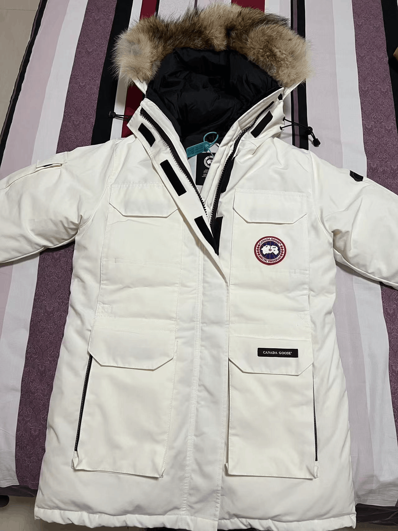 Canada Goose Canada Goose Women's Expedition Parka Jacket Size M / US 6-8 / IT 42-44 - 5 Thumbnail